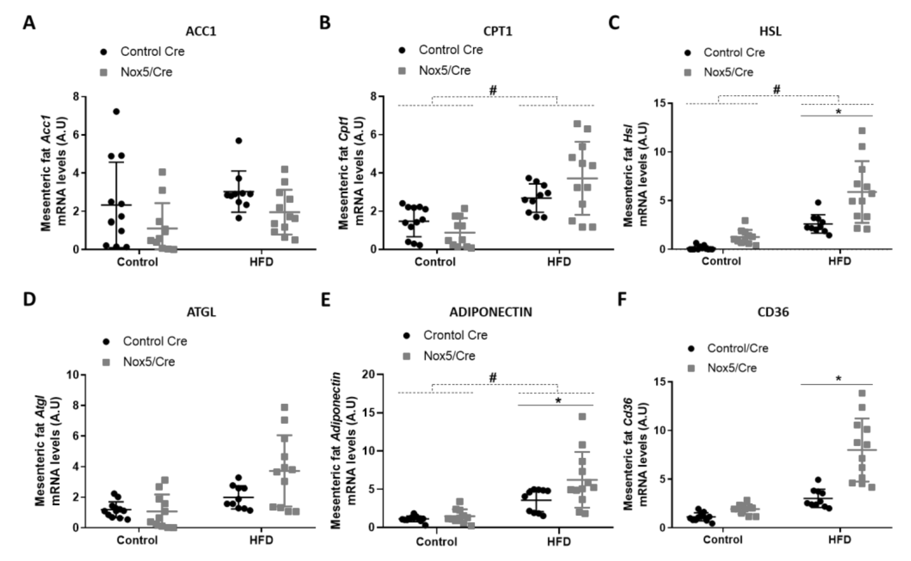 Antioxidants 11 00030 g002