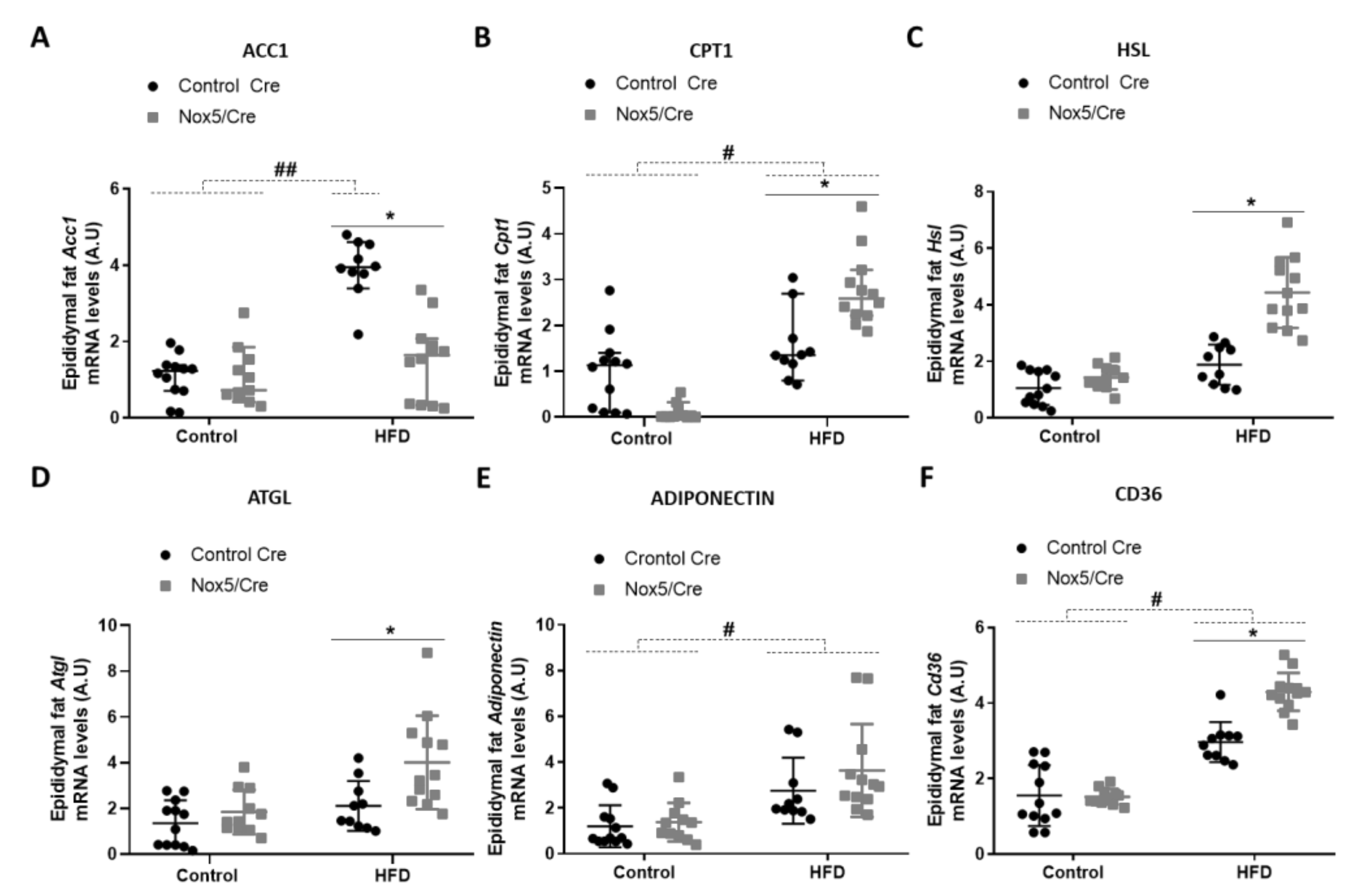 Antioxidants 11 00030 g003
