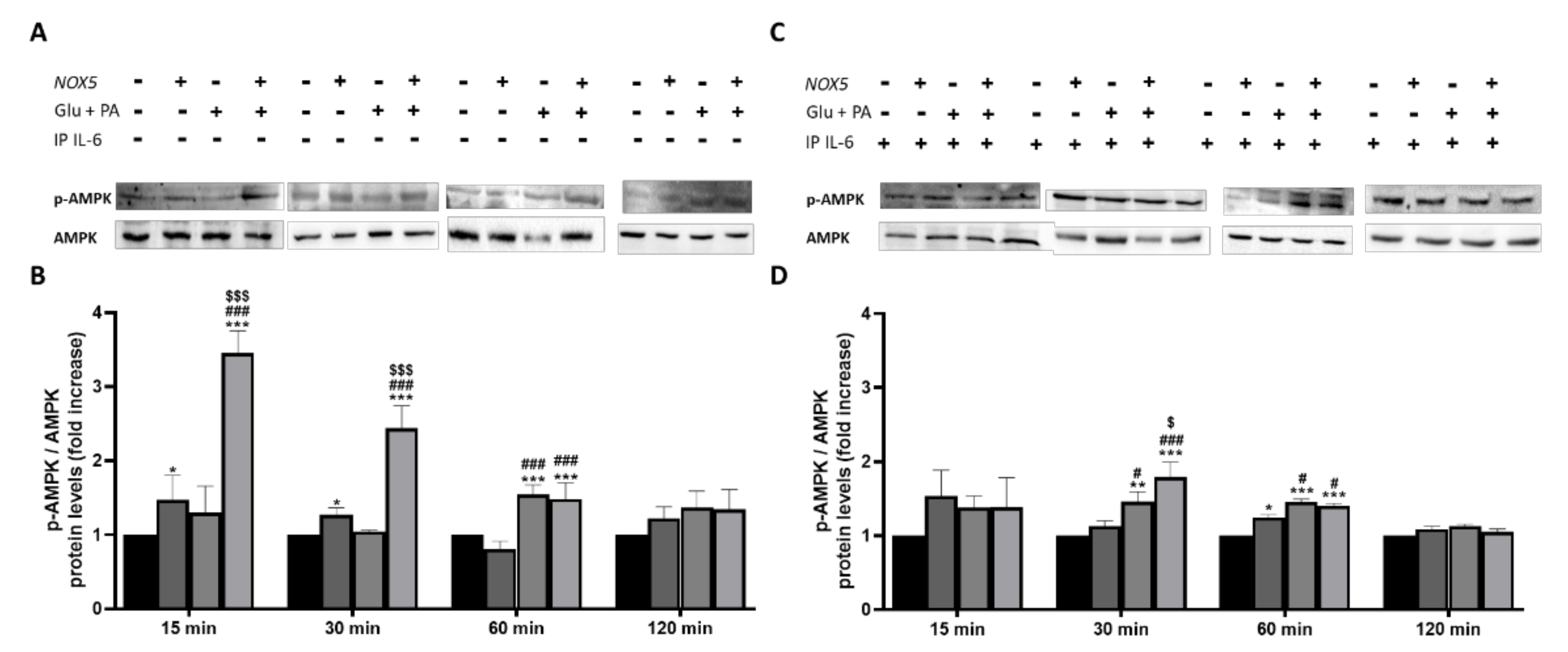 Antioxidants 11 00030 g009