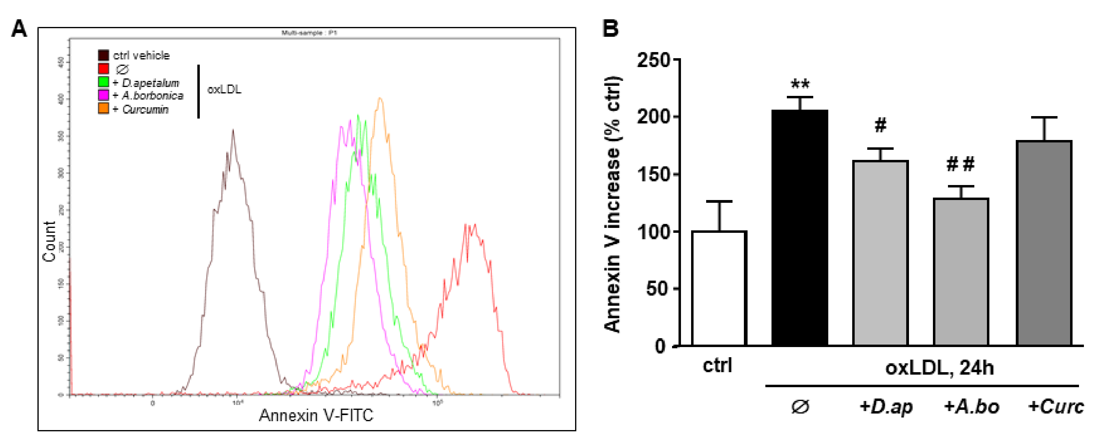 Antioxidants 11 00034 g004 550