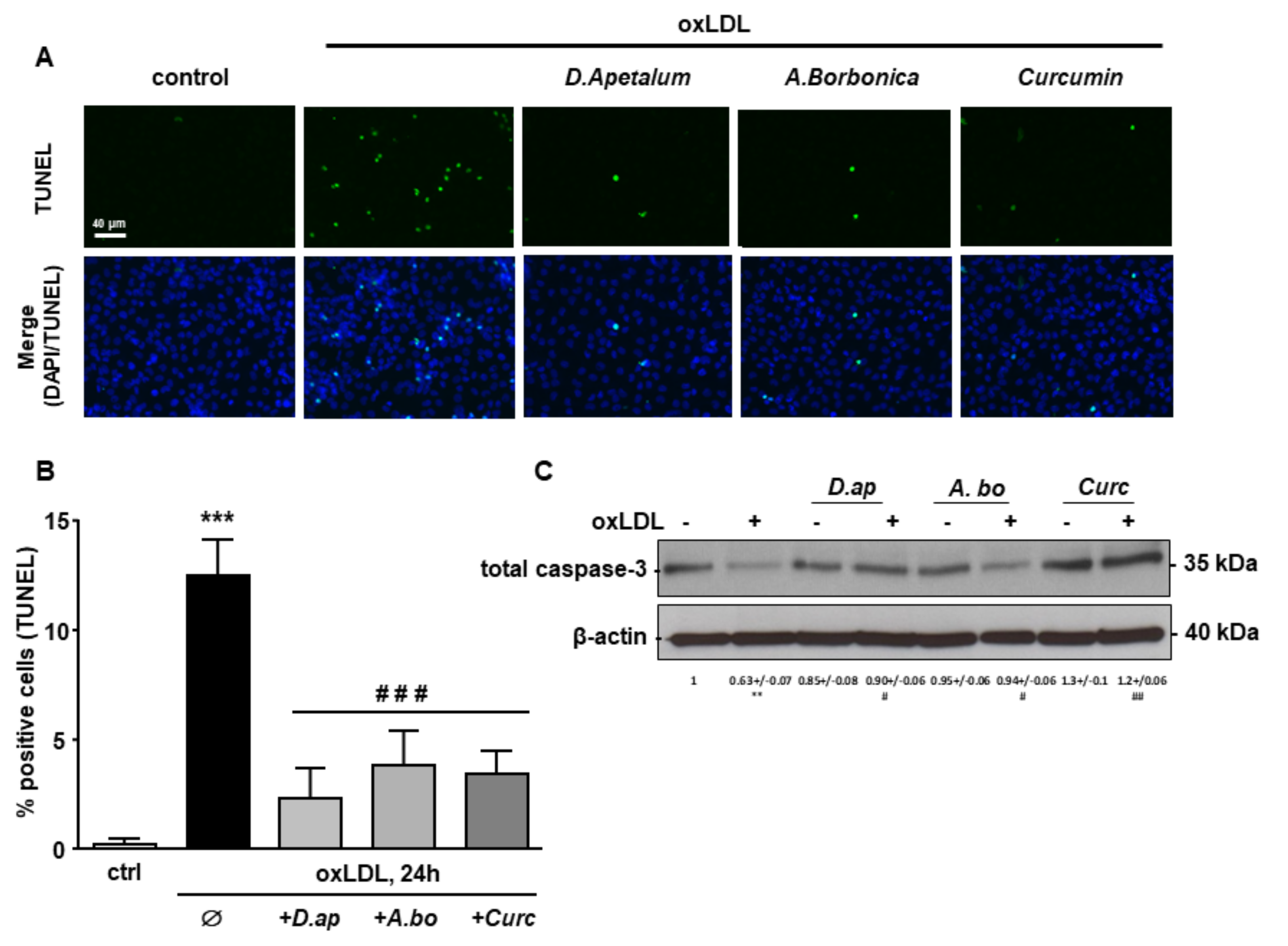 Antioxidants 11 00034 g006 550