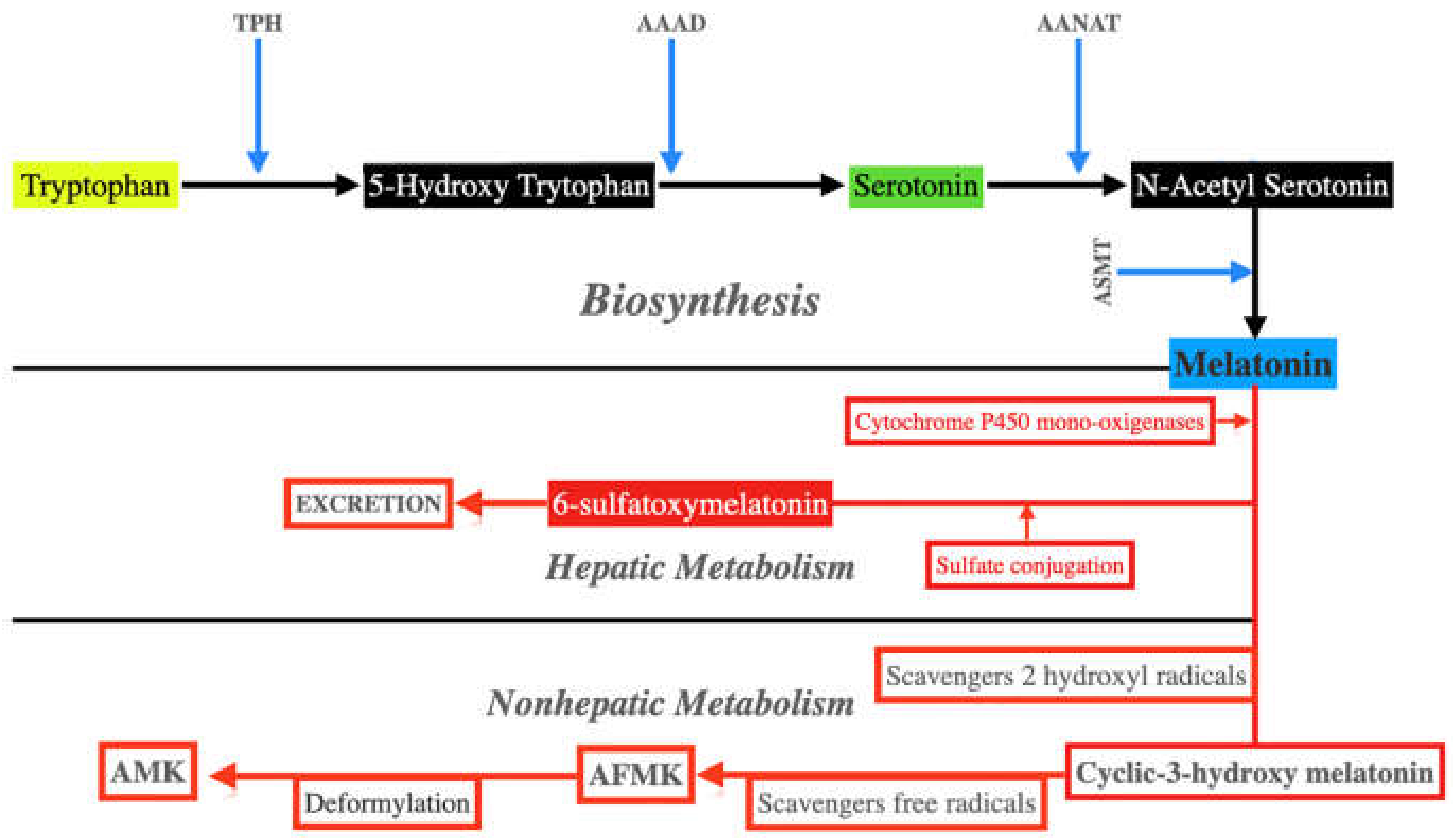 Antioxidants 11 00035 g003