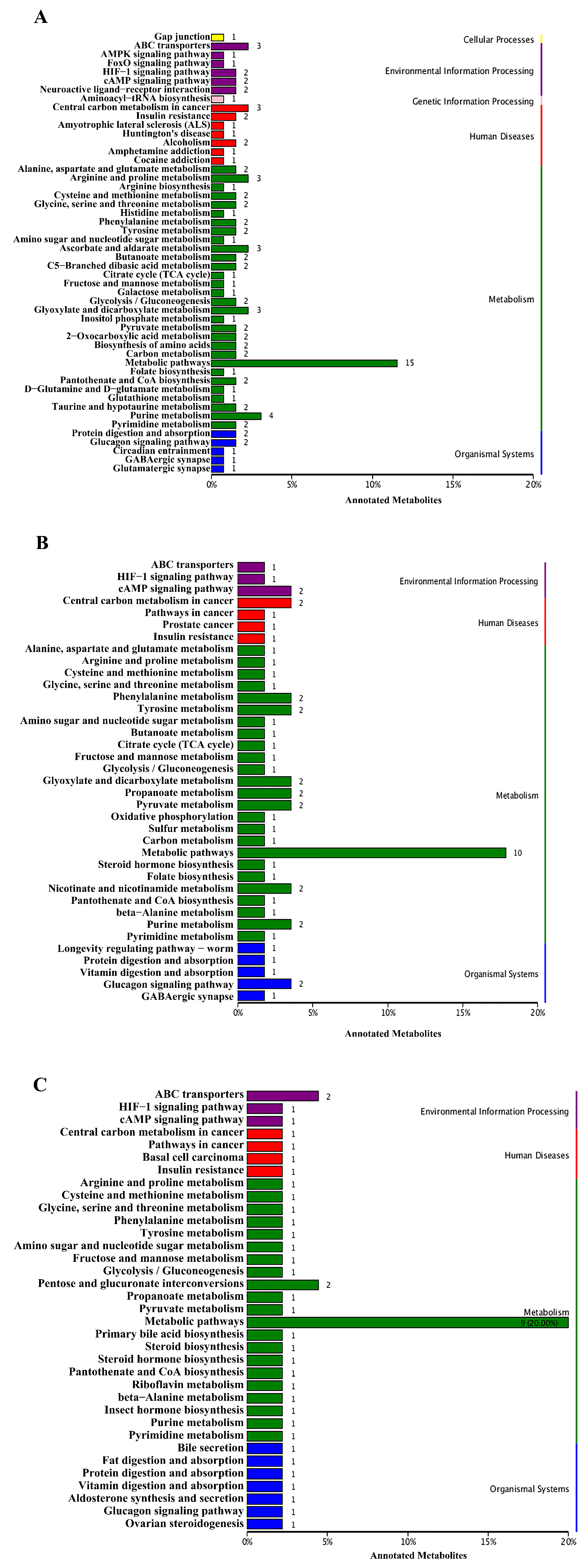 Antioxidants 11 00036 g004