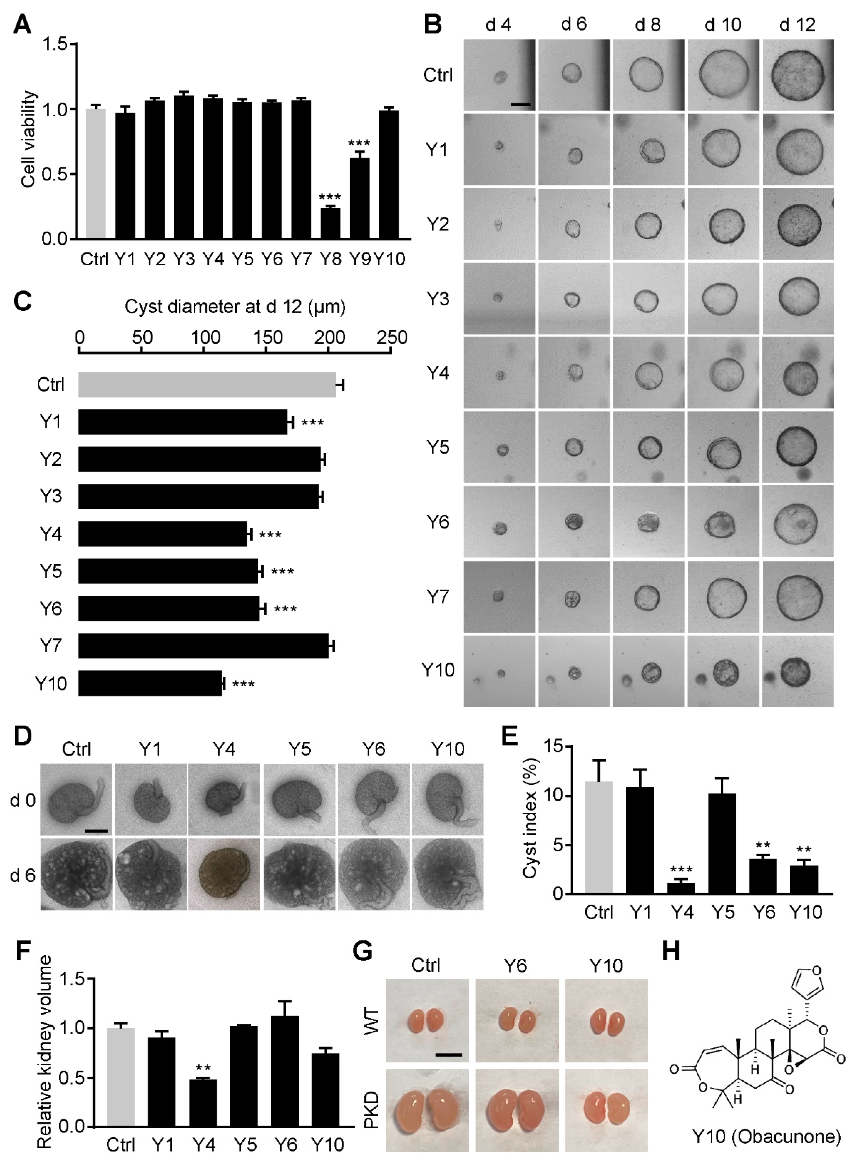 Antioxidants 11 00038 g001 550