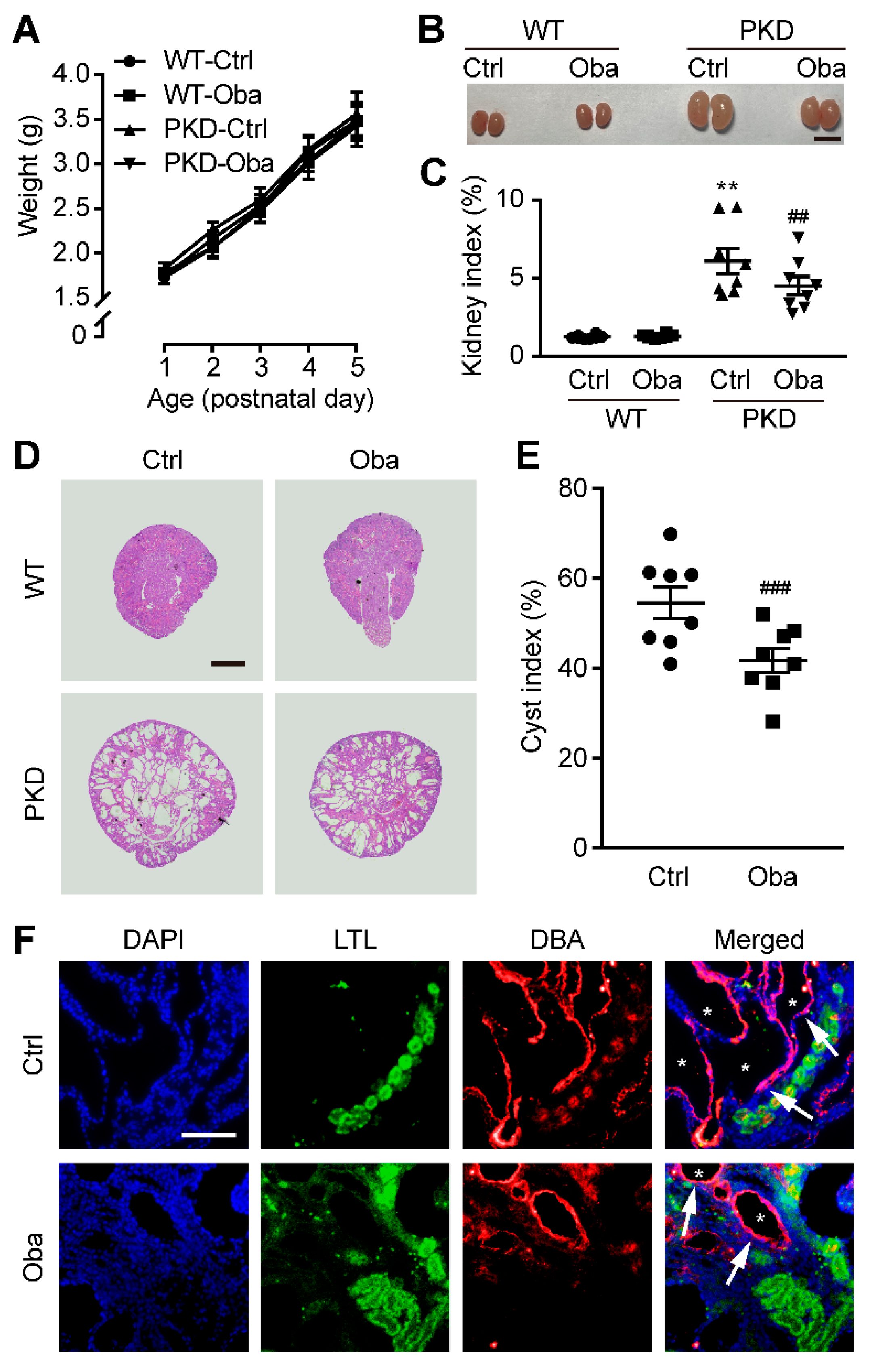 Antioxidants 11 00038 g004 550