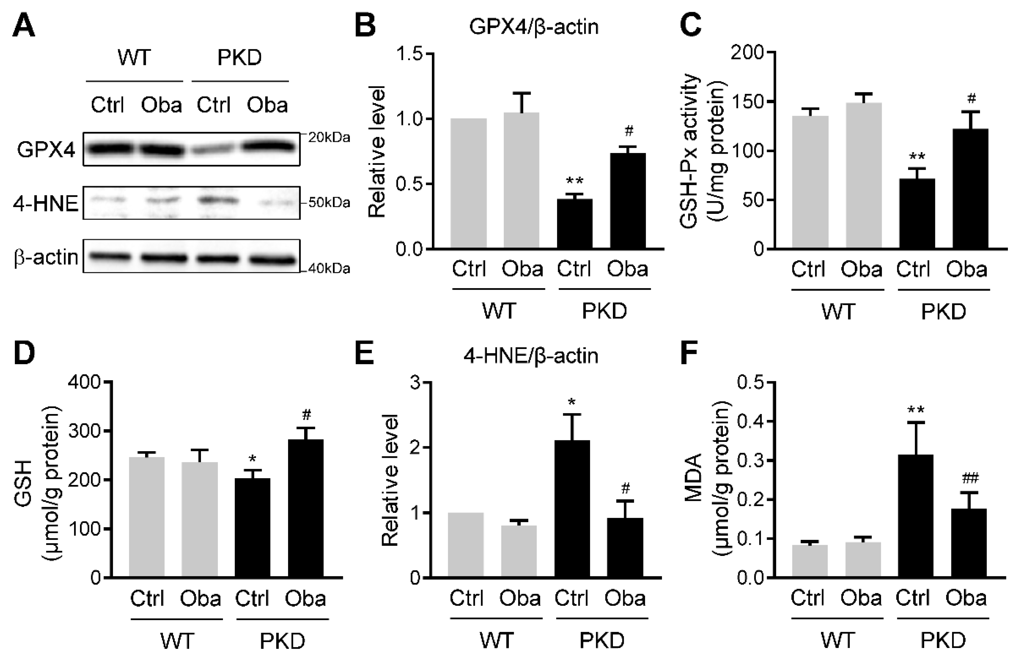 Antioxidants 11 00038 g006 550
