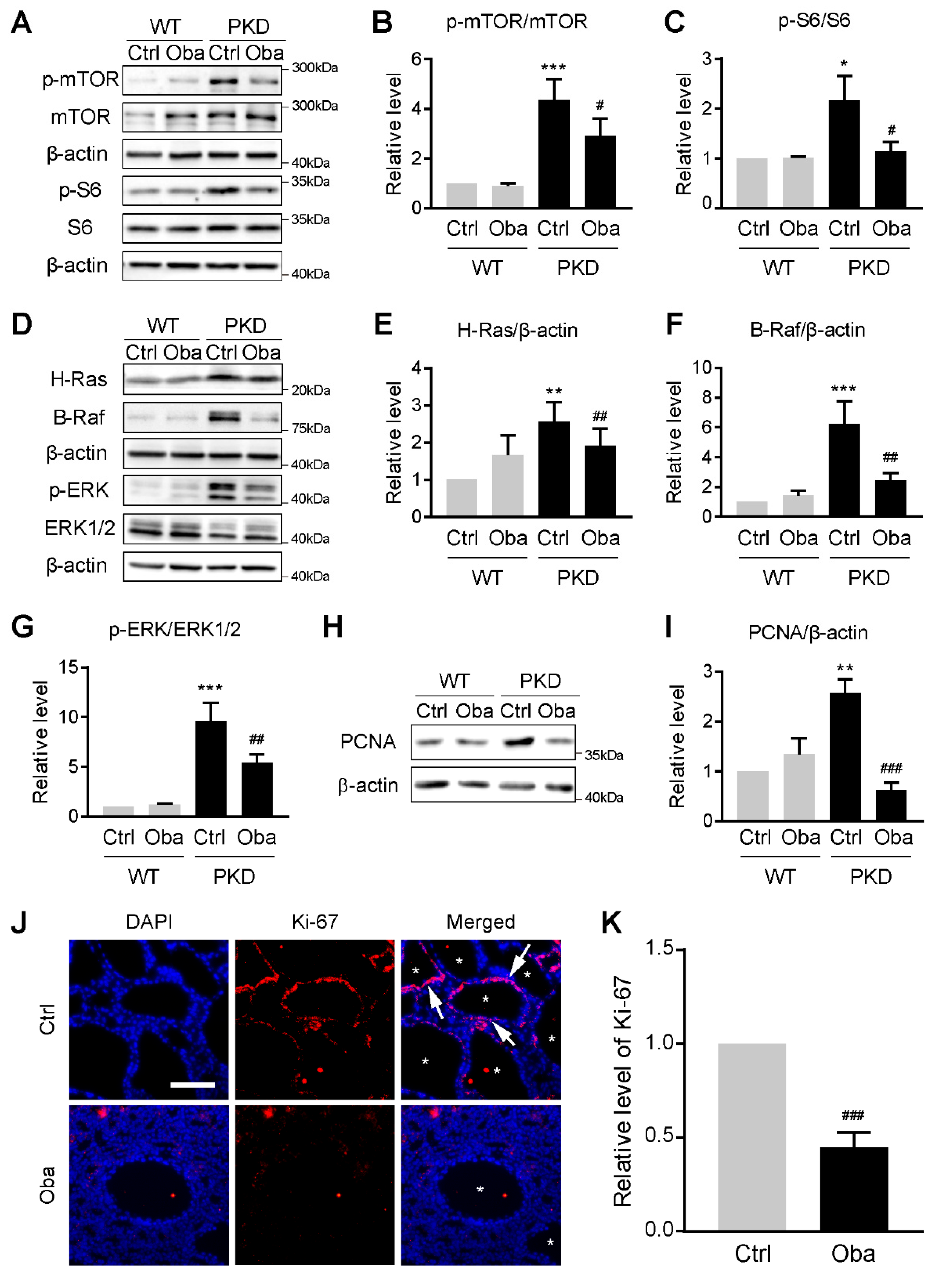 Antioxidants 11 00038 g007 550