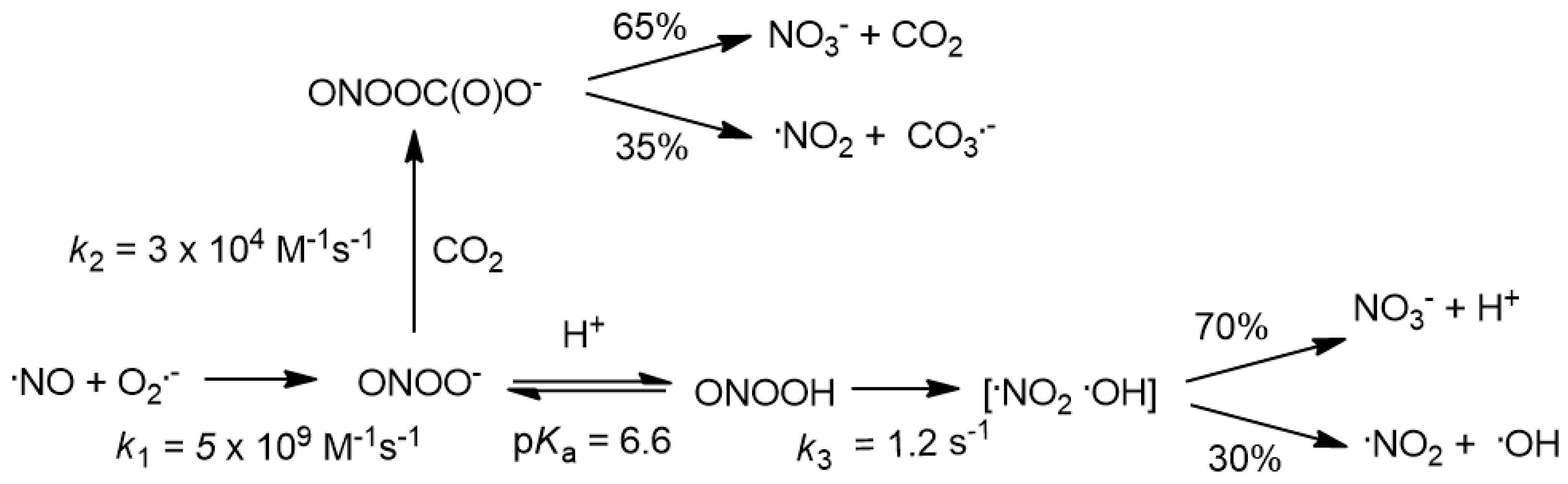 Antioxidants 11 00040 sch001