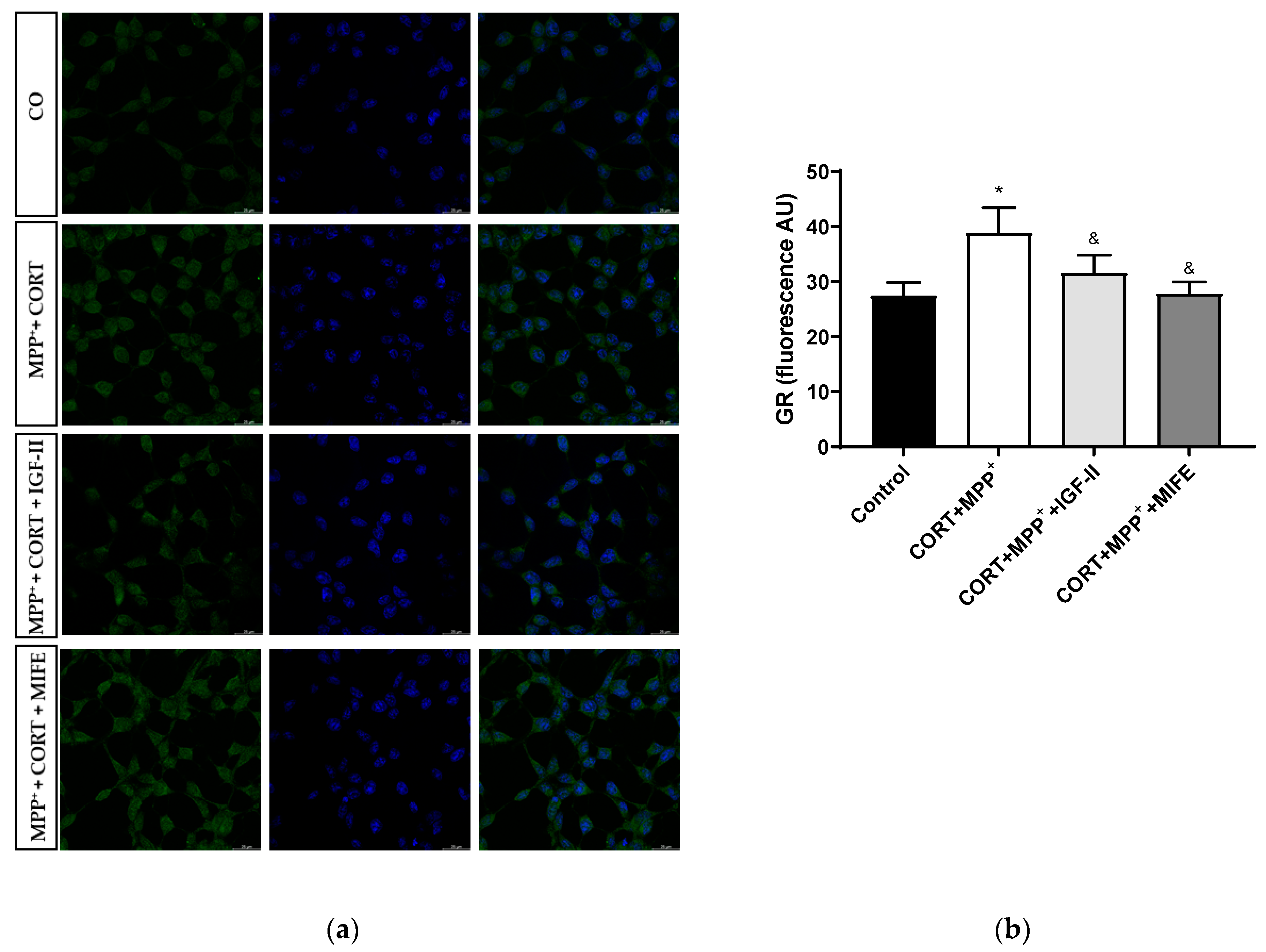 Antioxidants 11 00041 g008 Antioxidants 11 00041 g008