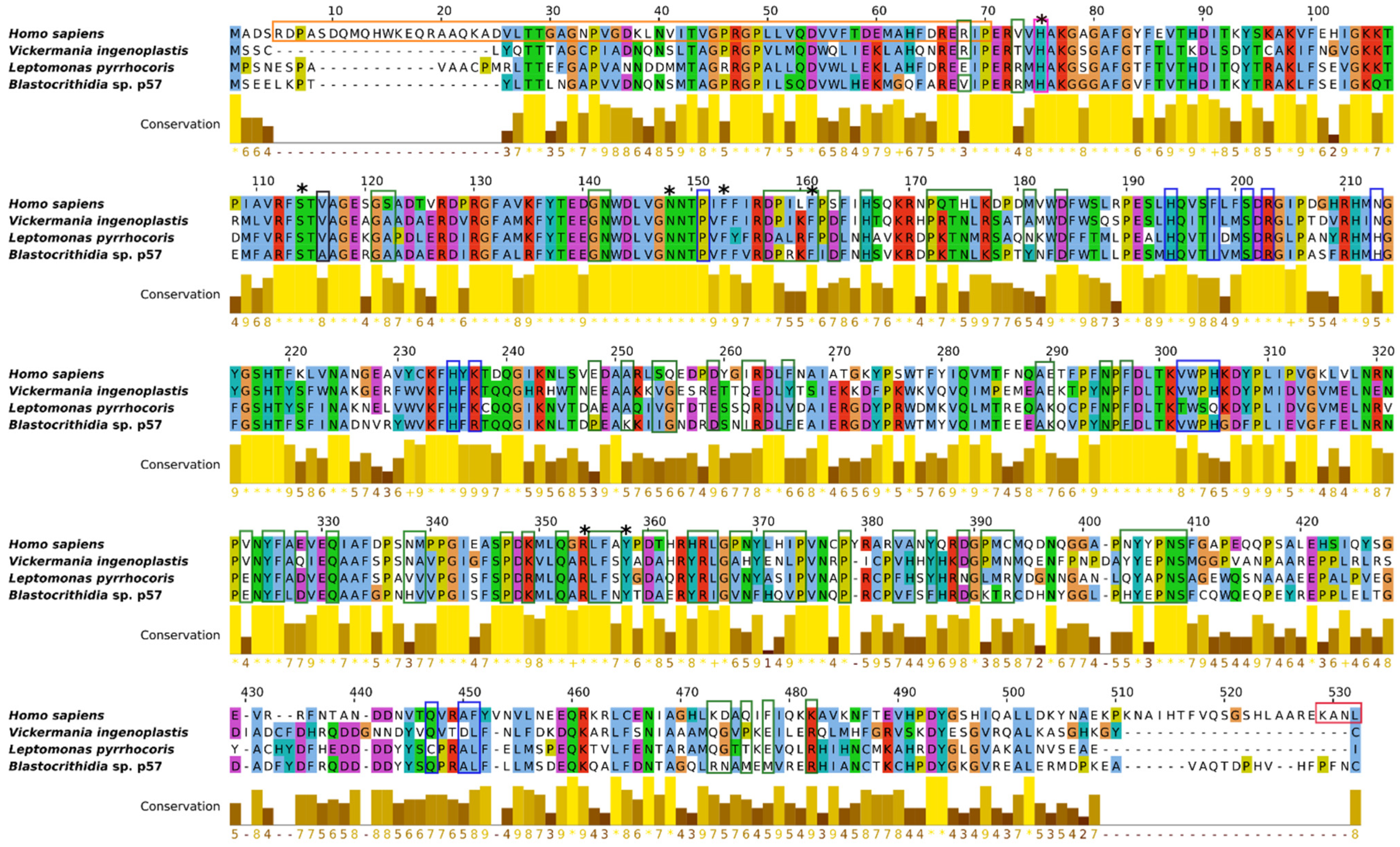 Antioxidants 11 00046 g002 Antioxidants 11 00046 g002