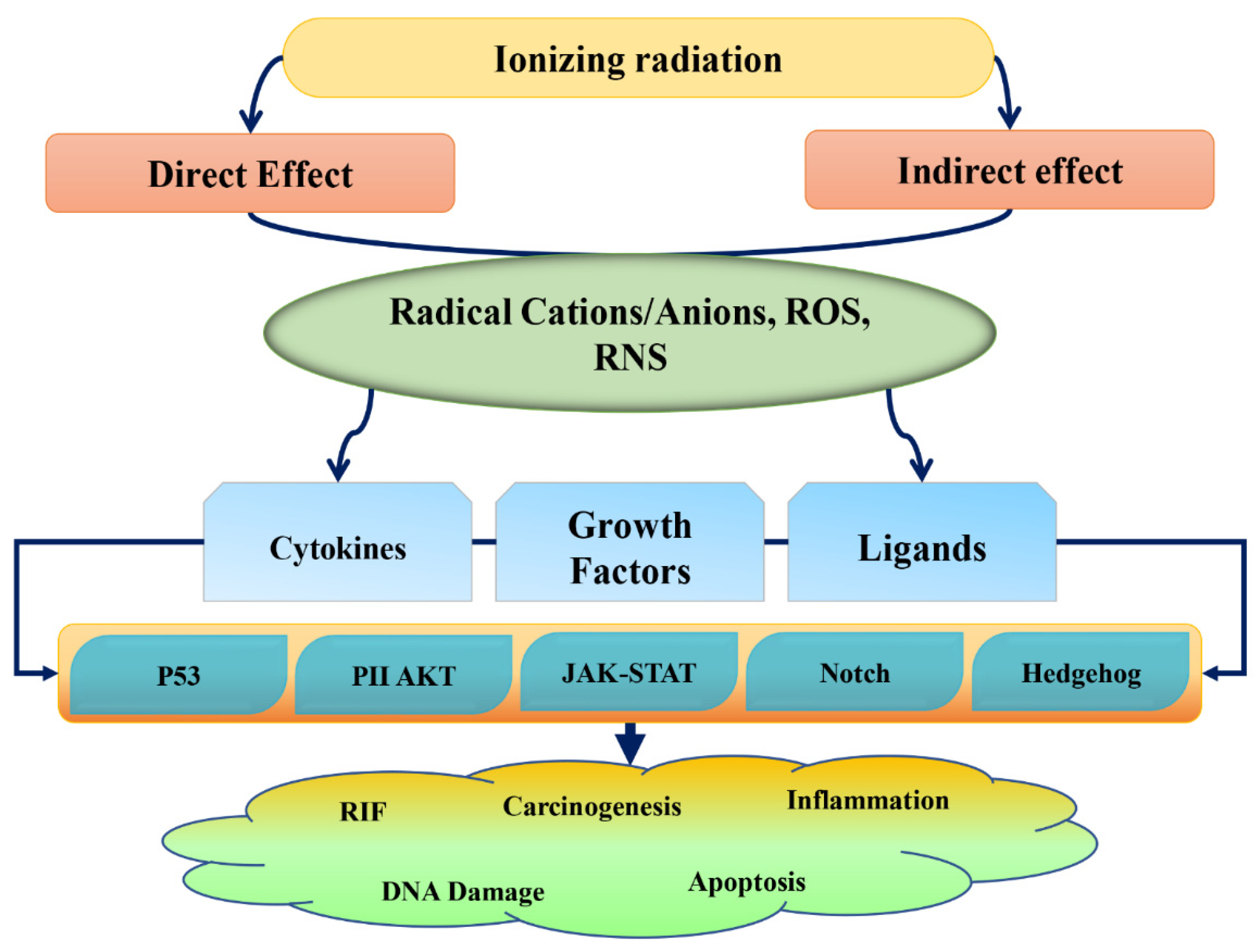 Antioxidants Free FullText Phytochemicals Potential Therapeutic