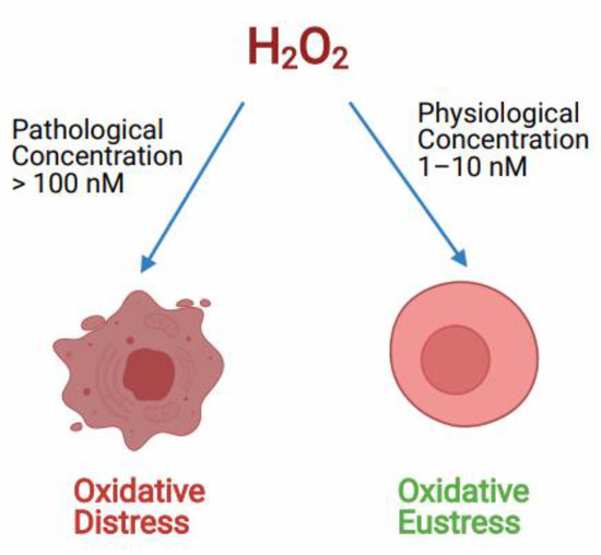 Antioxidants | Free Full-Text | Hydrogen Peroxide and Amyotrophic 