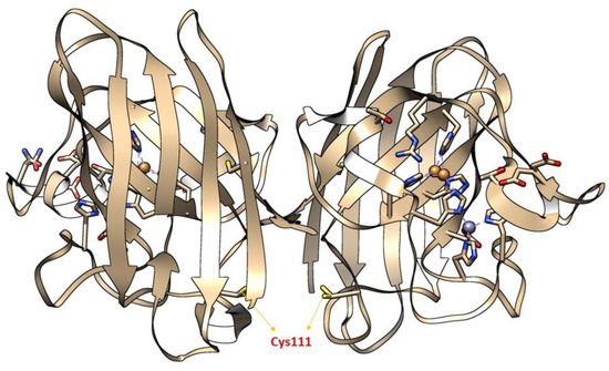 Hydrogen Peroxide and Amyotrophic Lateral Sclerosis: From
