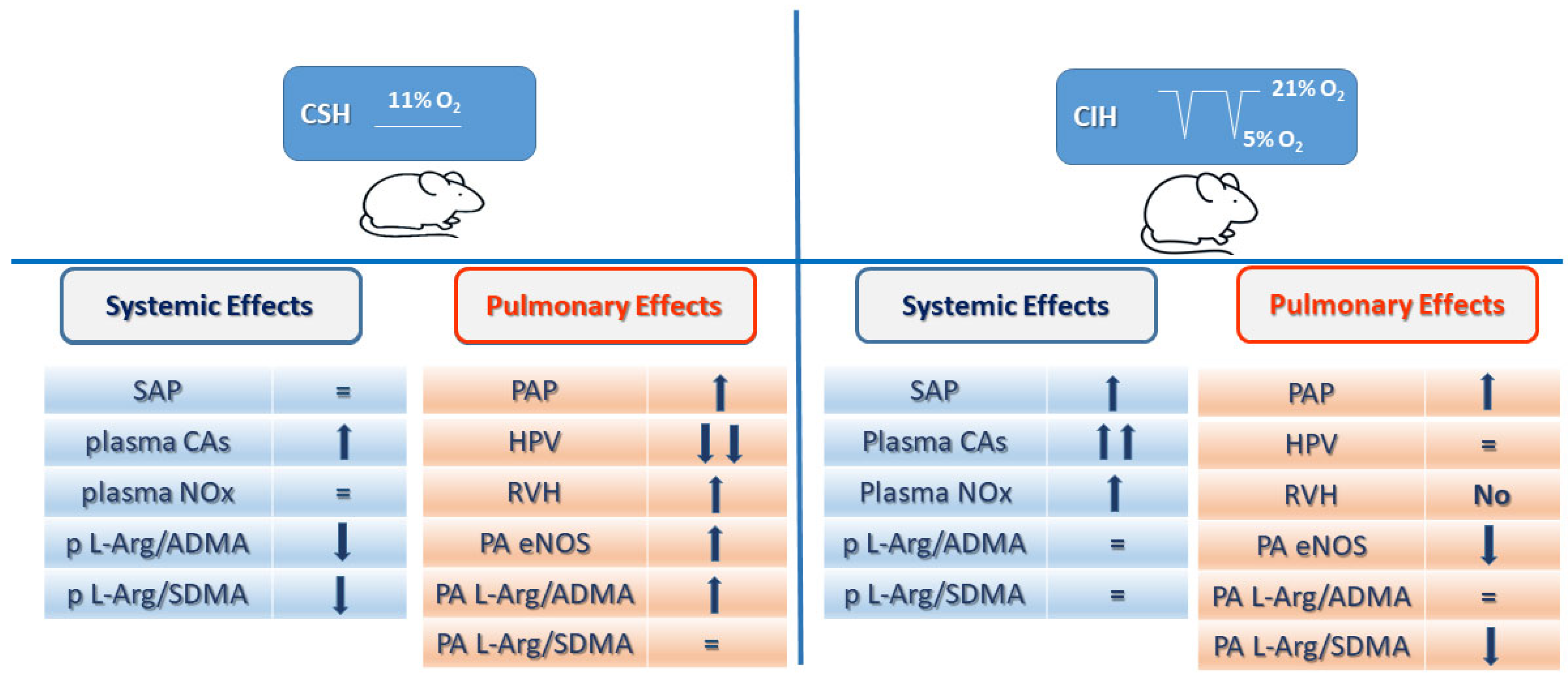 Antioxidants 11 00054 g007