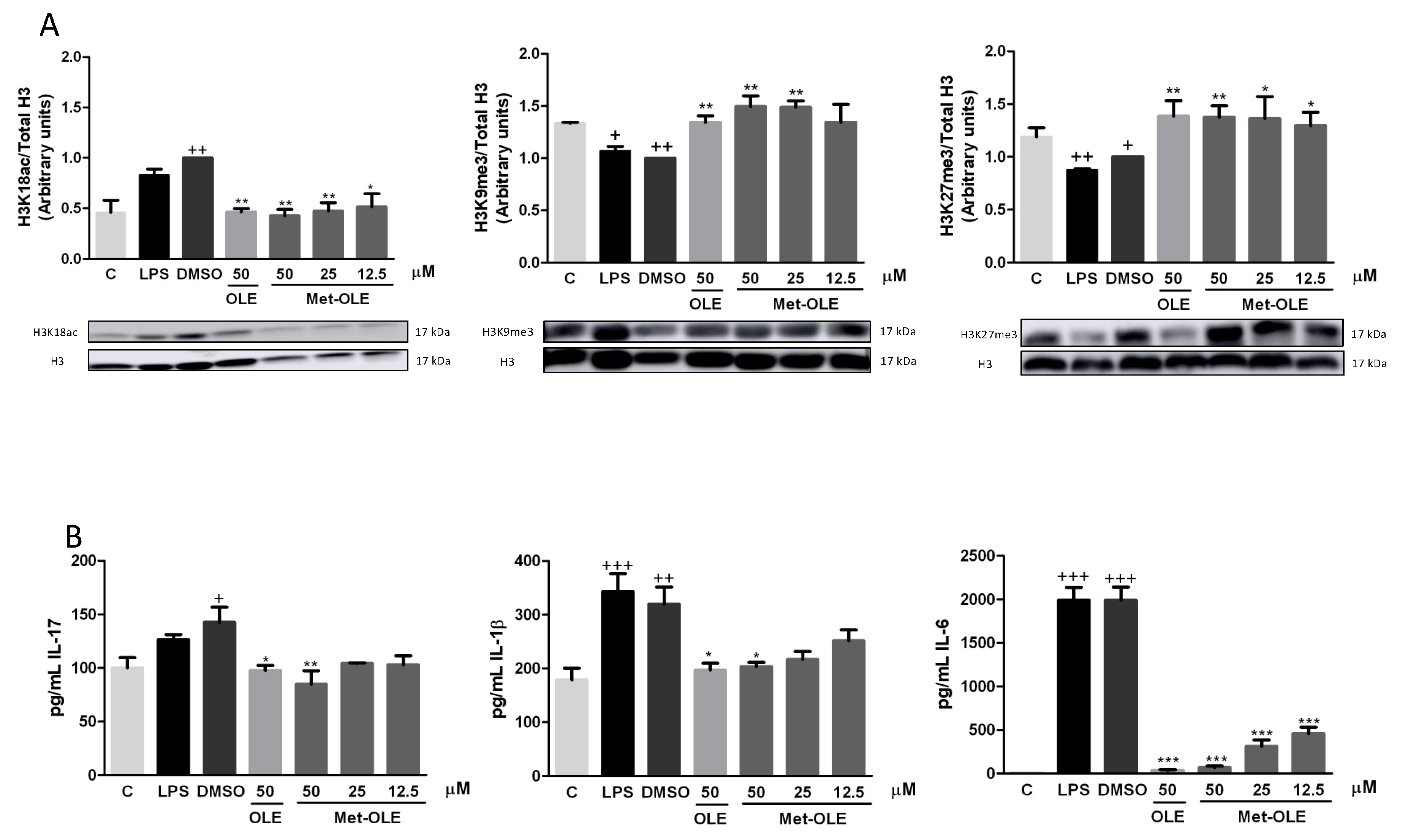 Antioxidants 11 00056 g007 Antioxidants 11 00056 g007