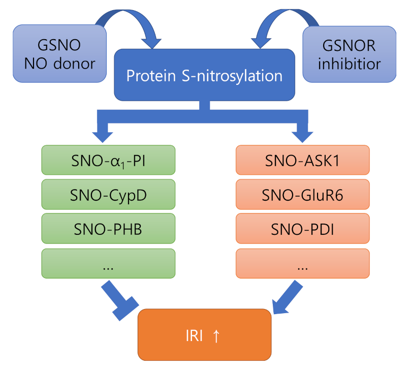 Antioxidants 11 00057 g002 Antioxidants 11 00057 g002