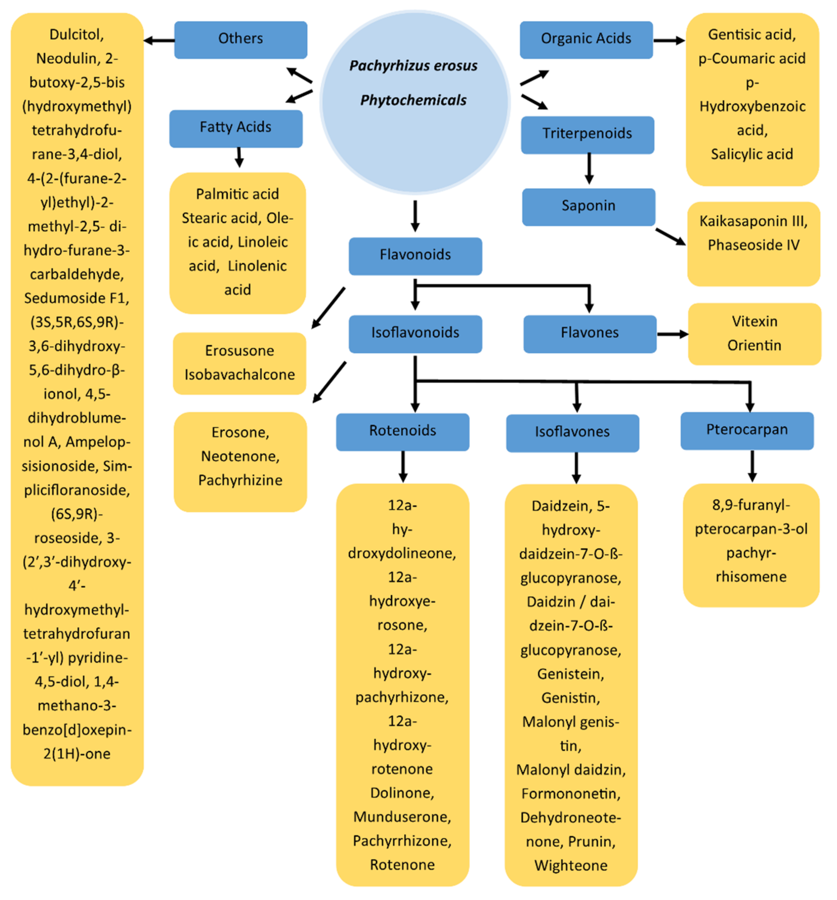 Antioxidants 11 00058 g001