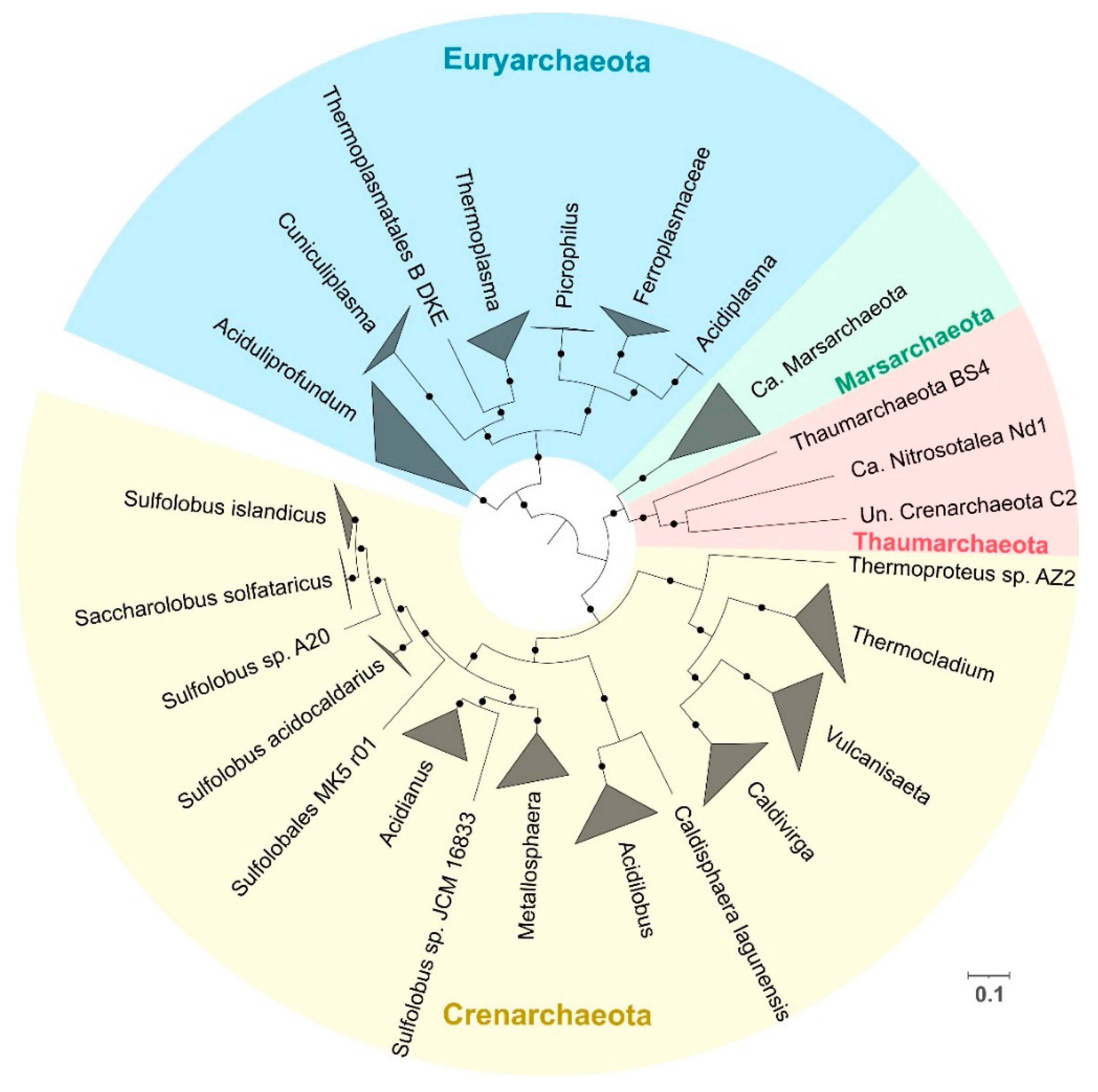 Antioxidants 11 00059 g001 550