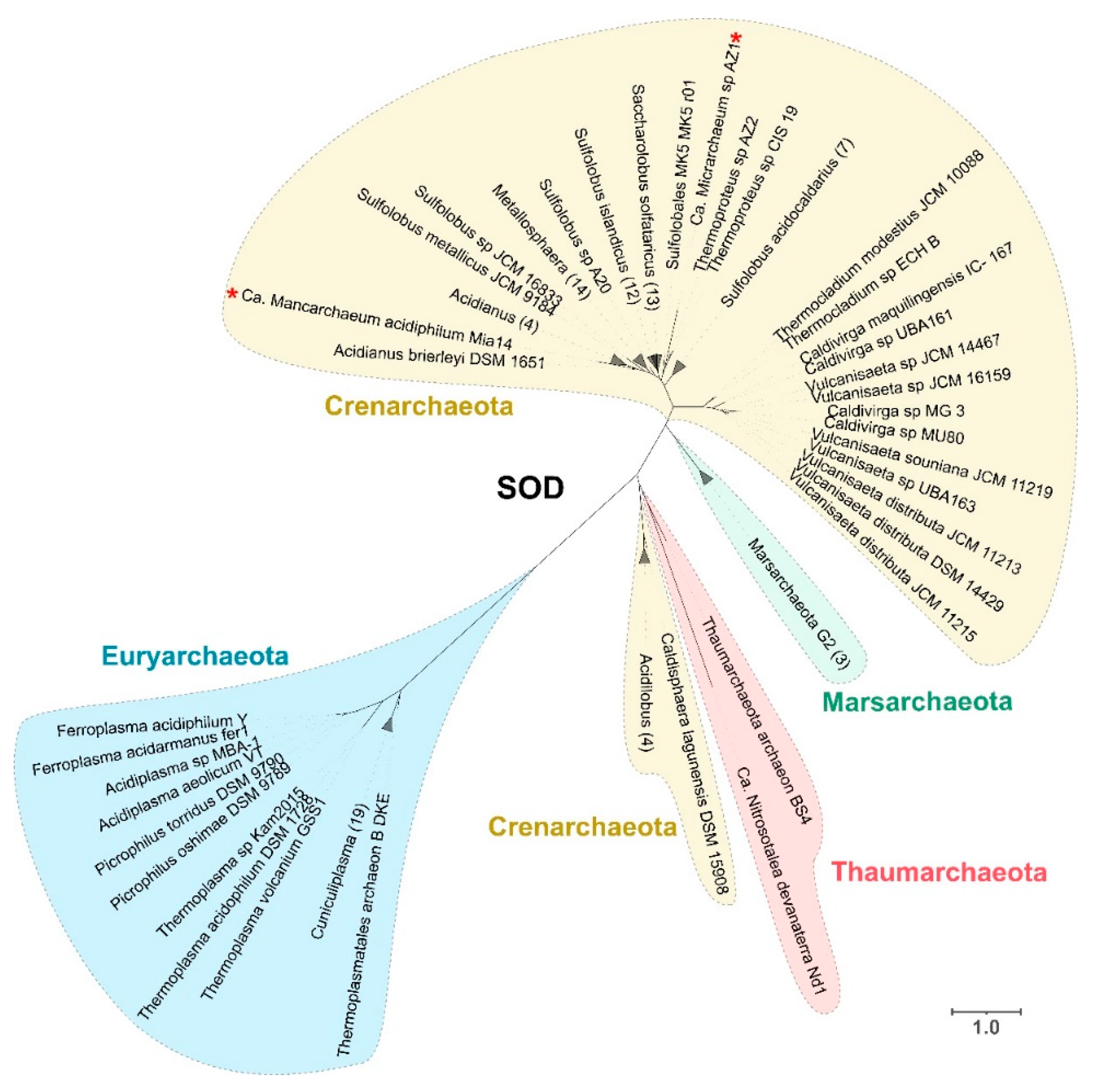 Antioxidants 11 00059 g002 550
