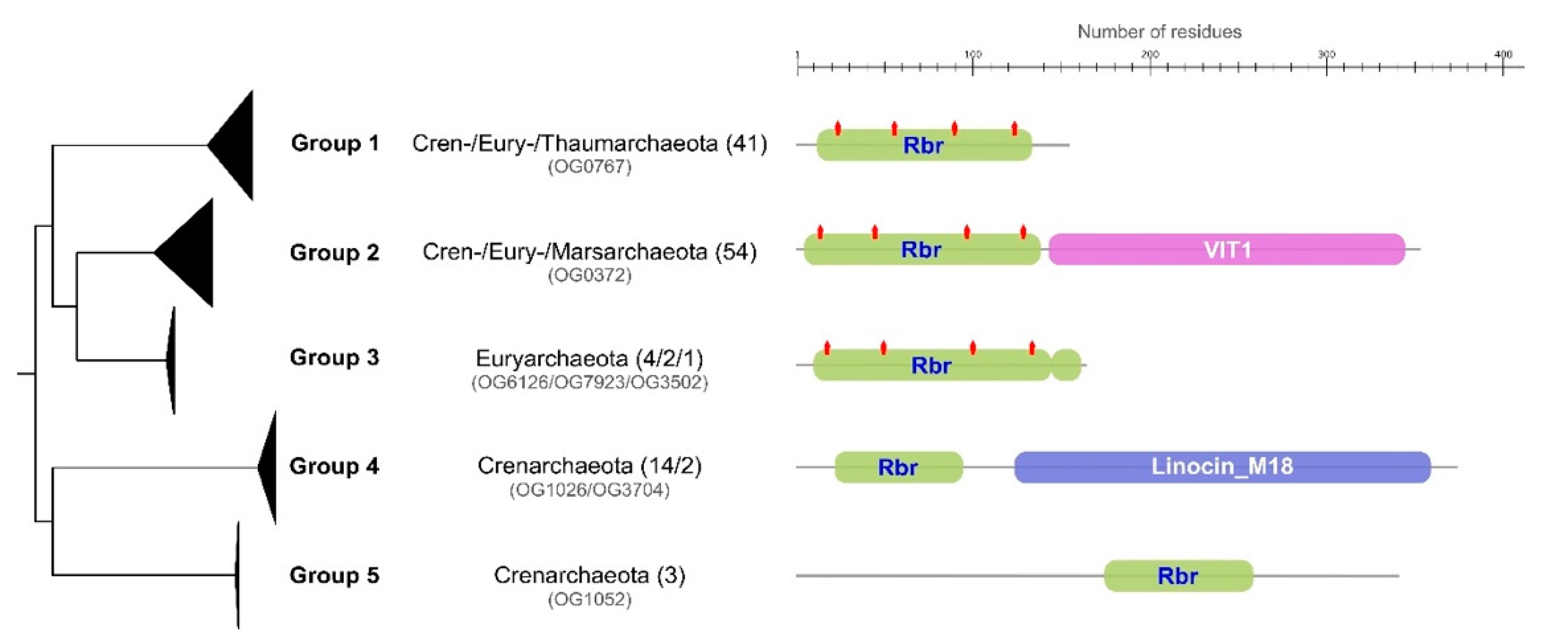 Antioxidants 11 00059 g004 550