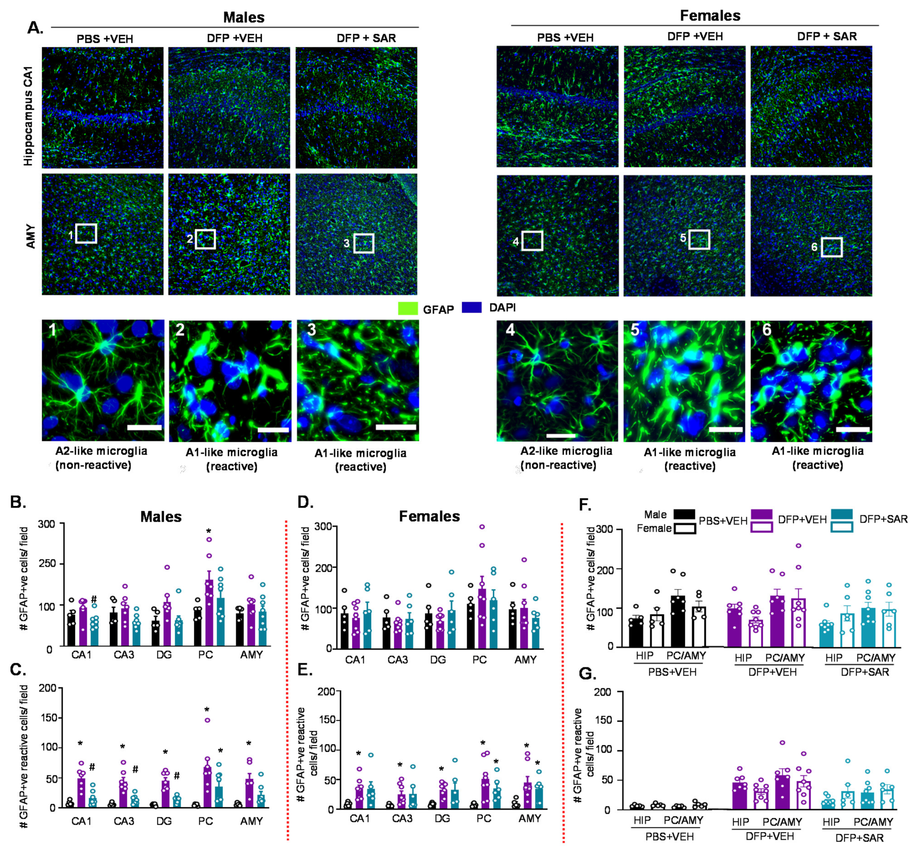 Antioxidants 11 00061 g004 Antioxidants 11 00061 g004
