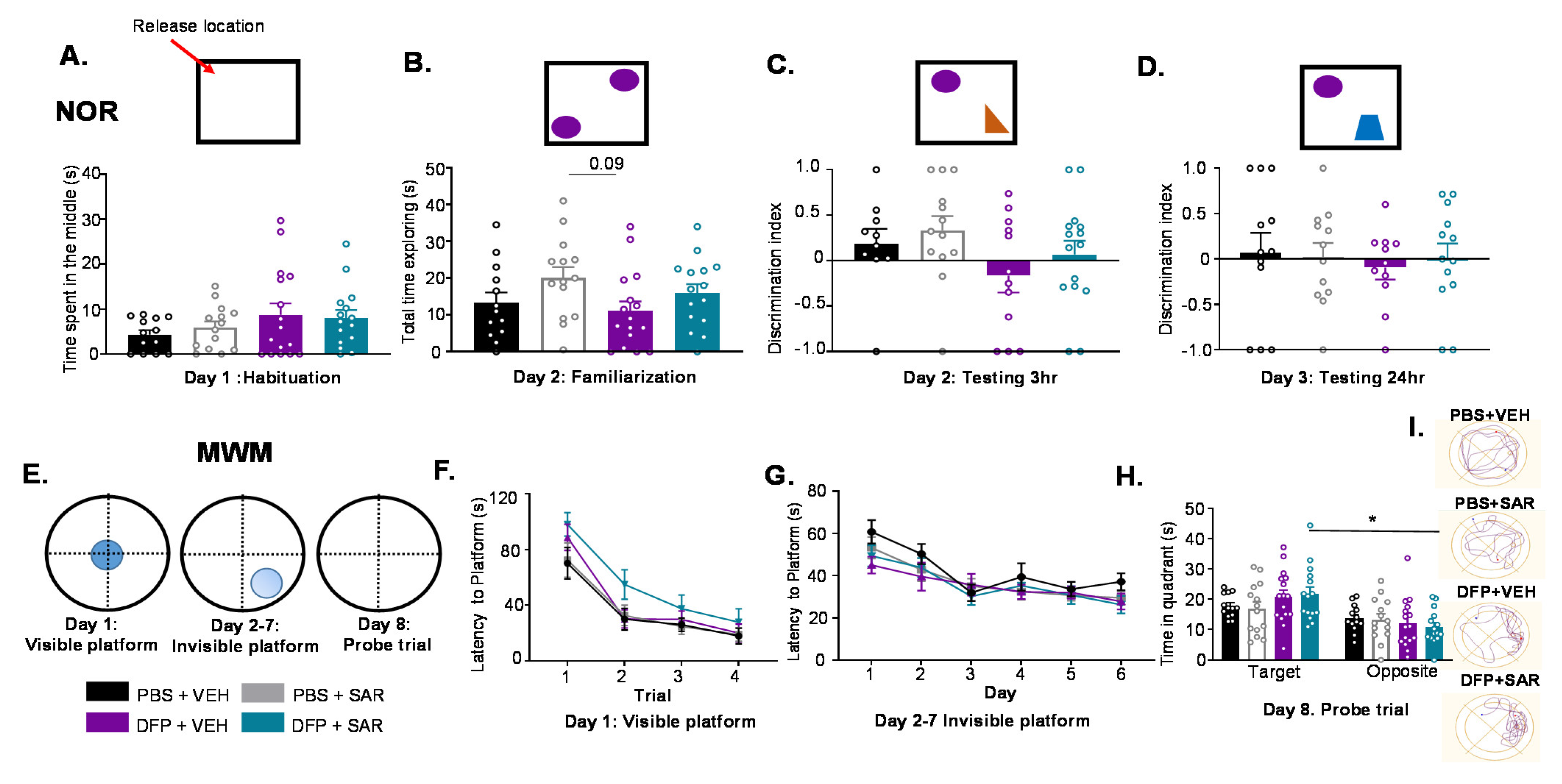 Antioxidants 11 00061 g007 Antioxidants 11 00061 g007