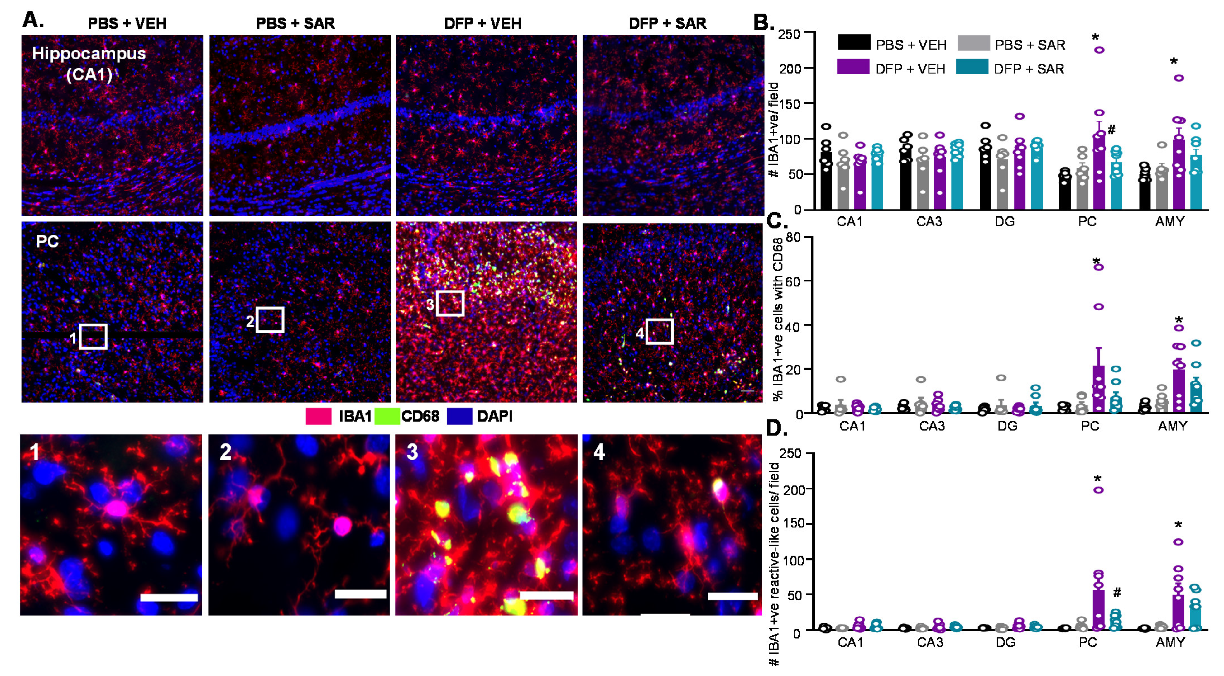 Antioxidants 11 00061 g009 Antioxidants 11 00061 g009