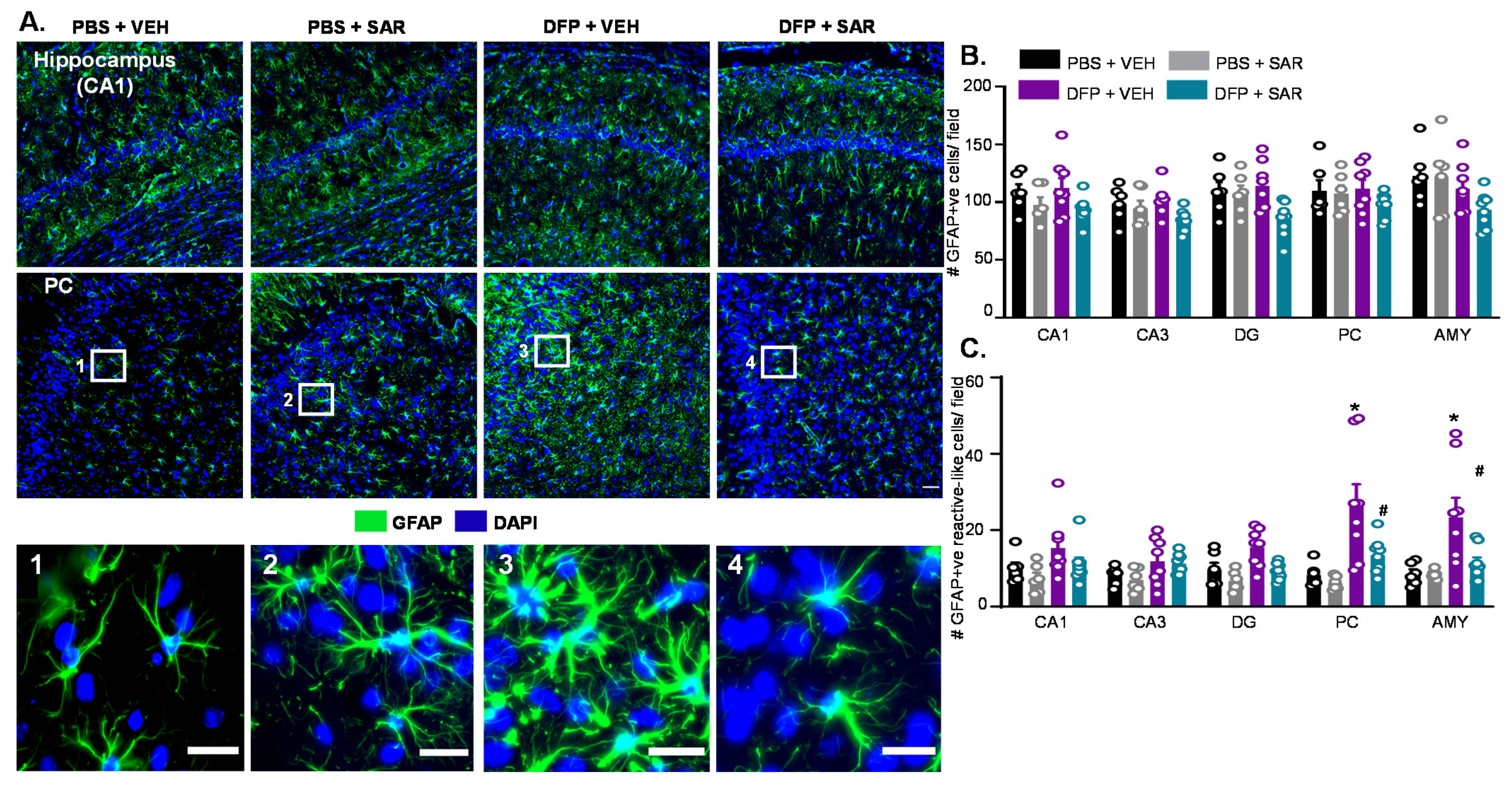 Antioxidants 11 00061 g010 Antioxidants 11 00061 g010