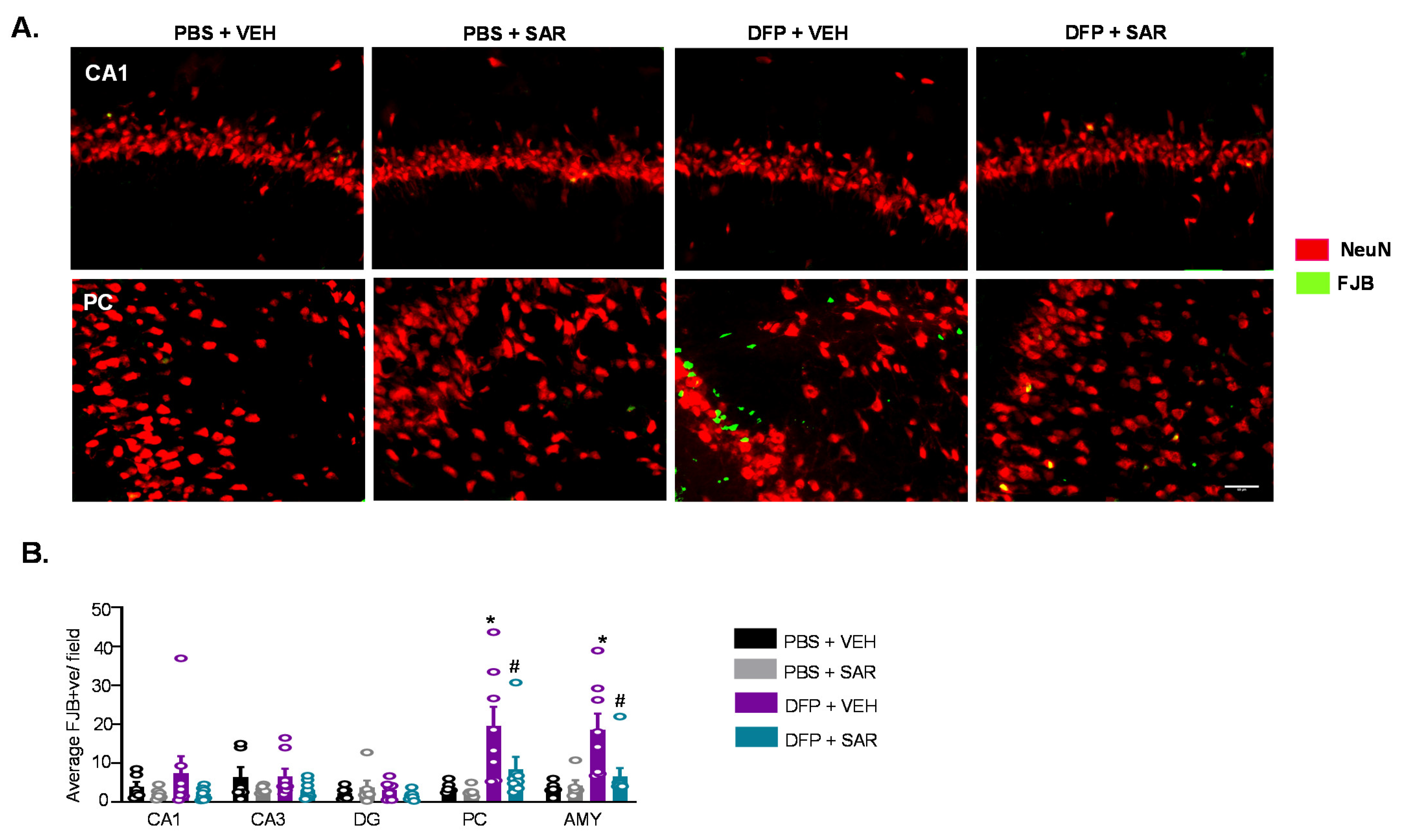 Antioxidants 11 00061 g011 Antioxidants 11 00061 g011