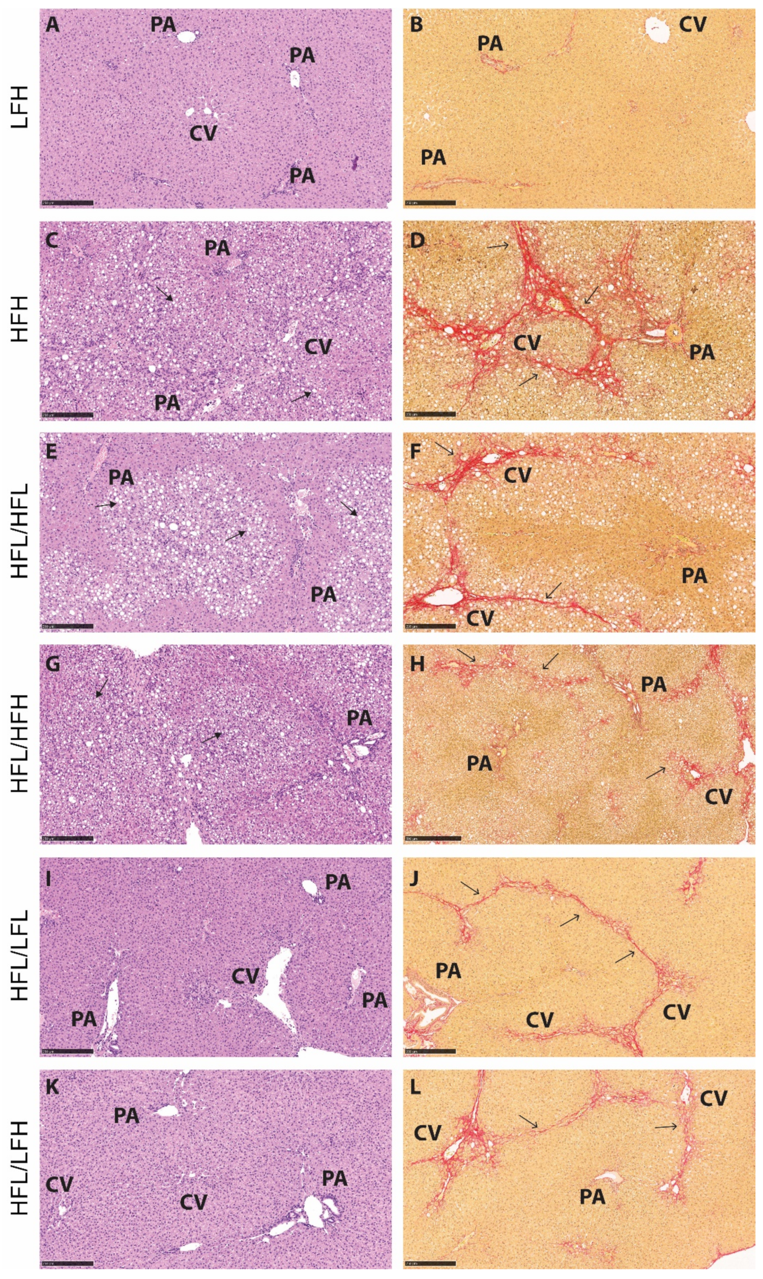 Antioxidants 11 00069 g006