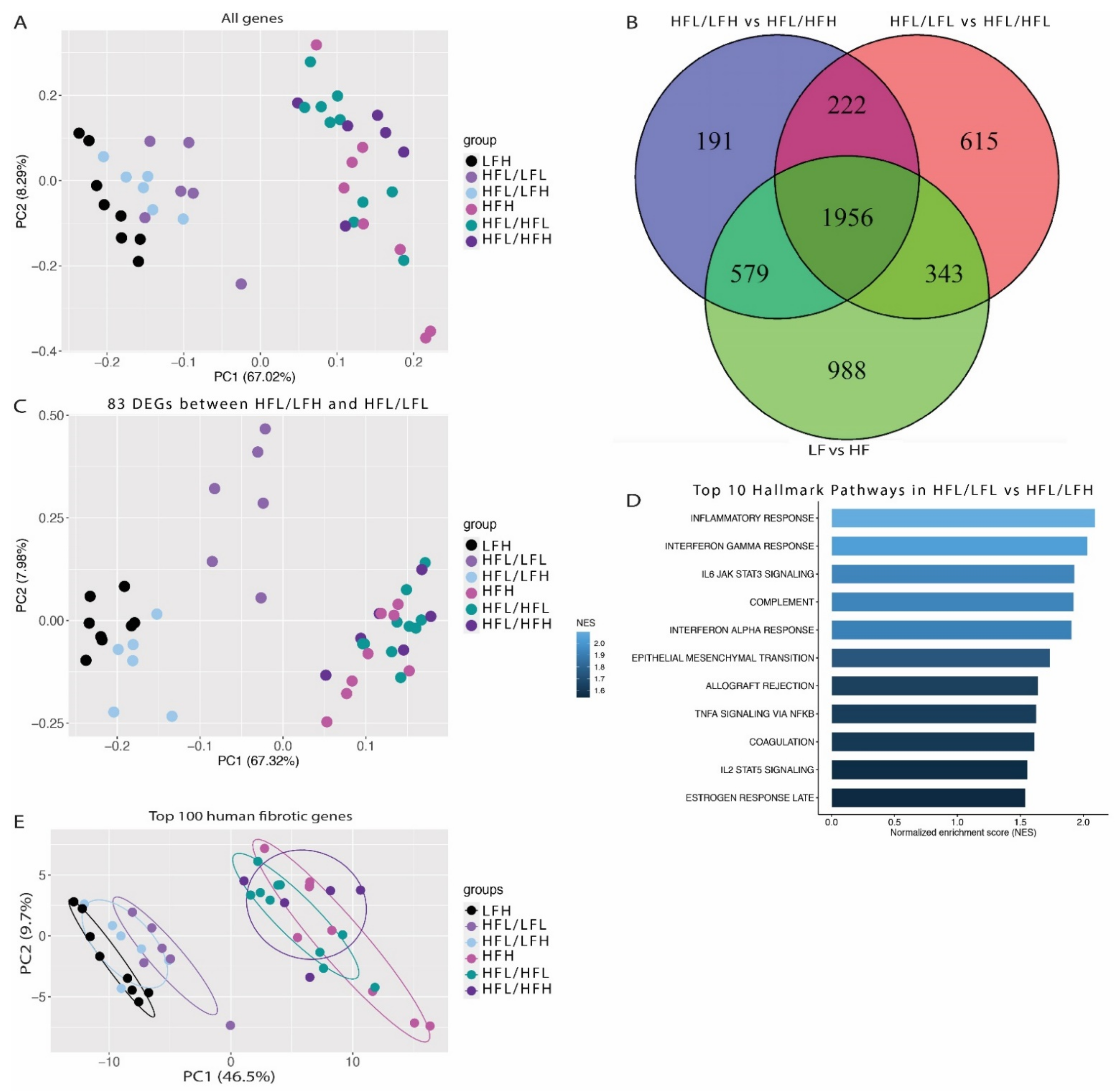 Antioxidants 11 00069 g007