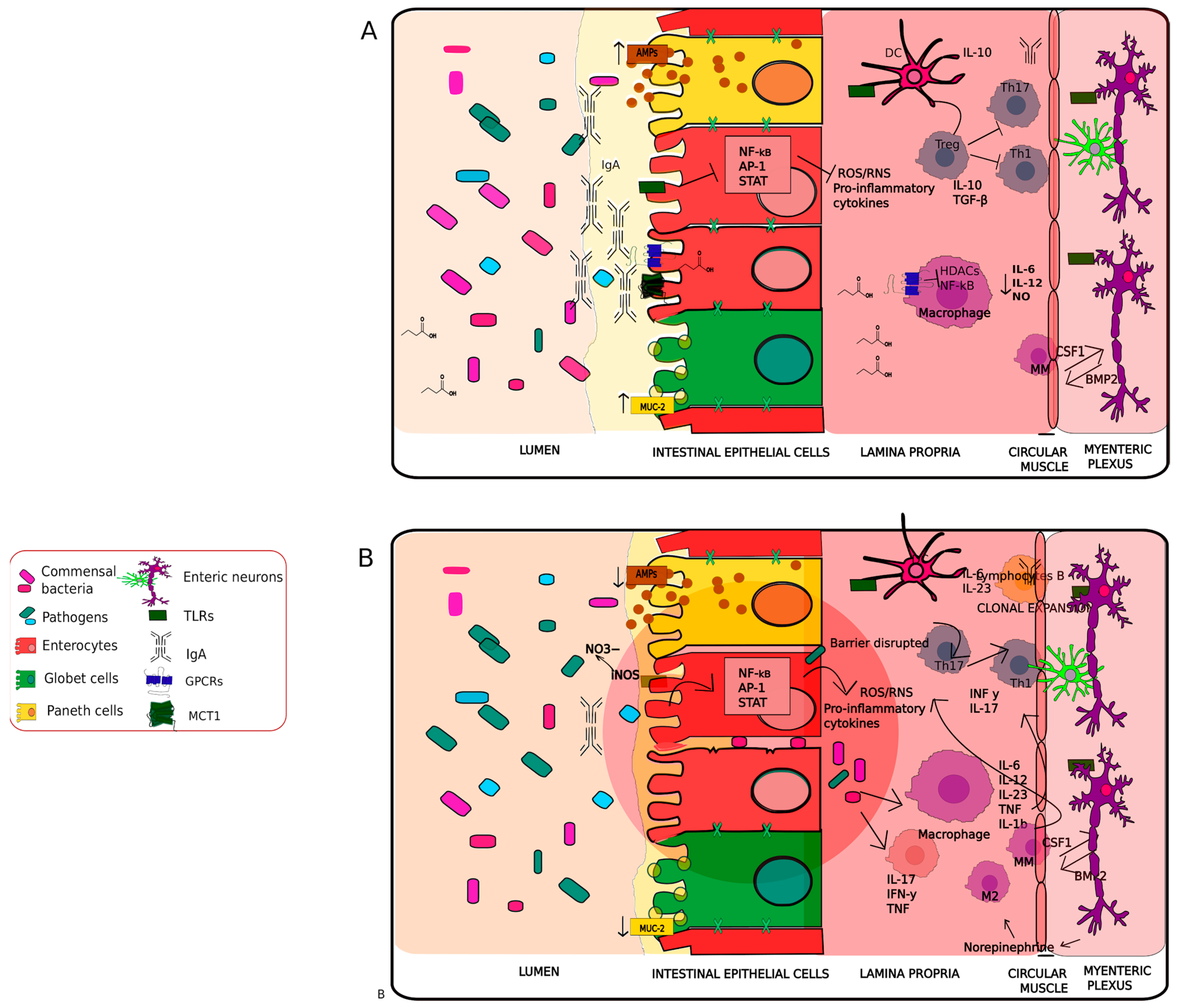Antioxidants 11 00071 g002 Antioxidants 11 00071 g002