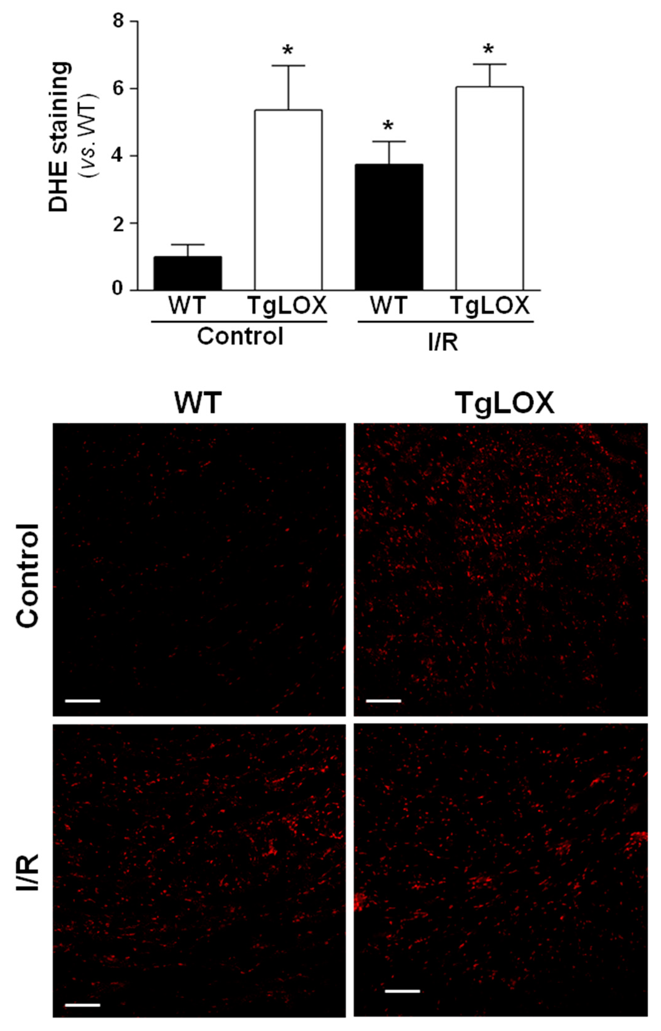 Antioxidants 11 00075 g004