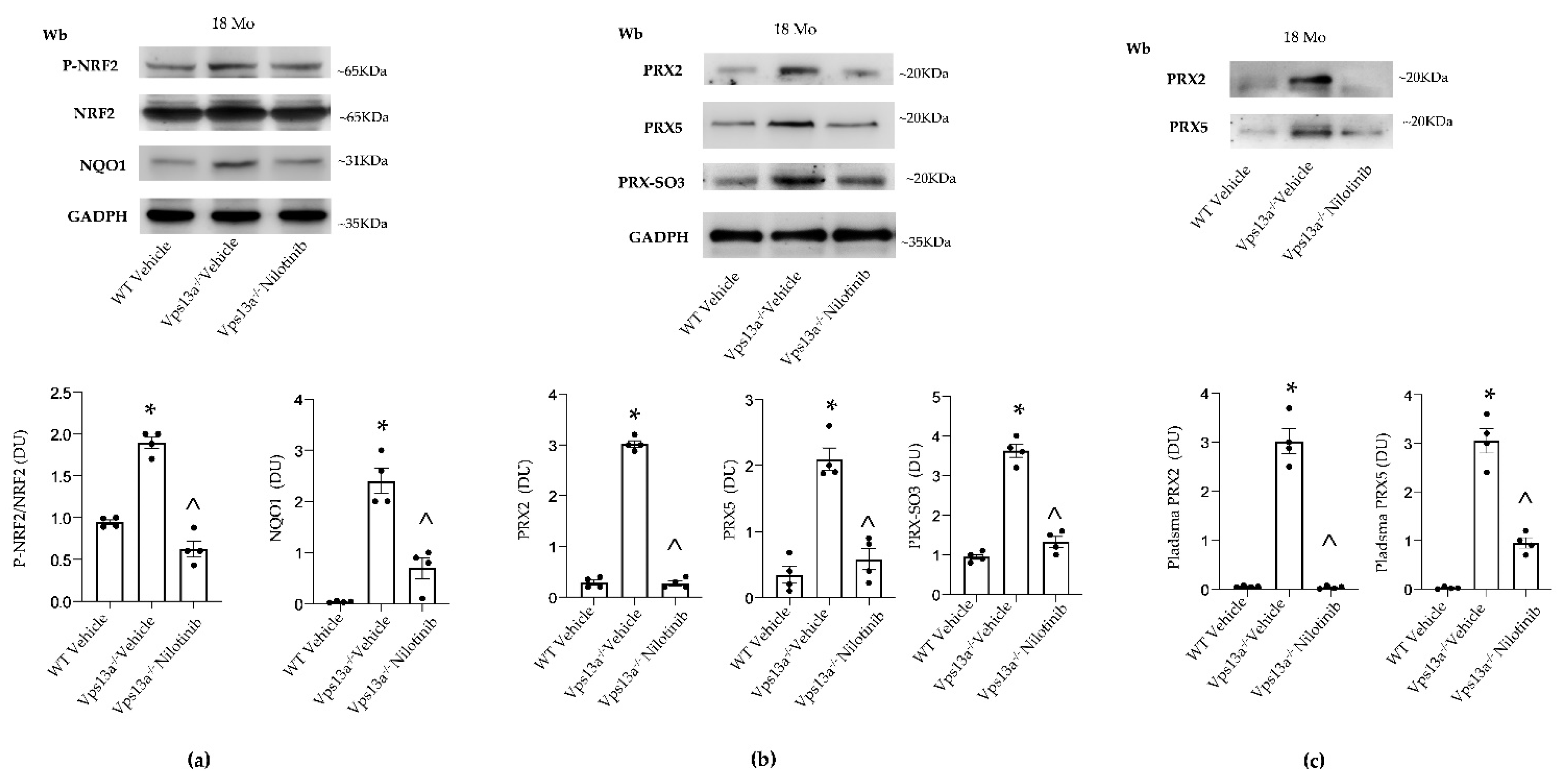 Antioxidants 11 00076 g005 550