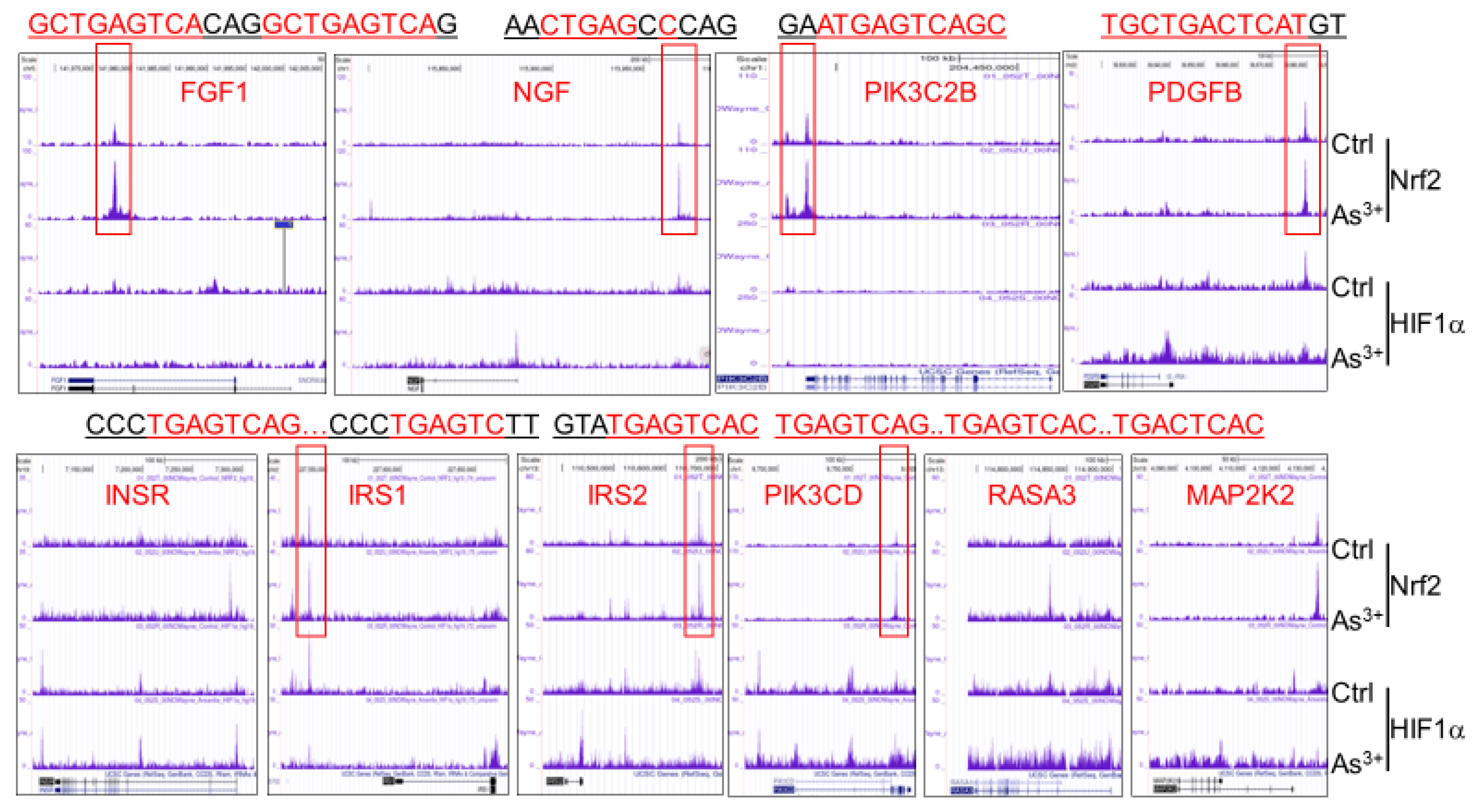 Antioxidants 11 00077 g001 550