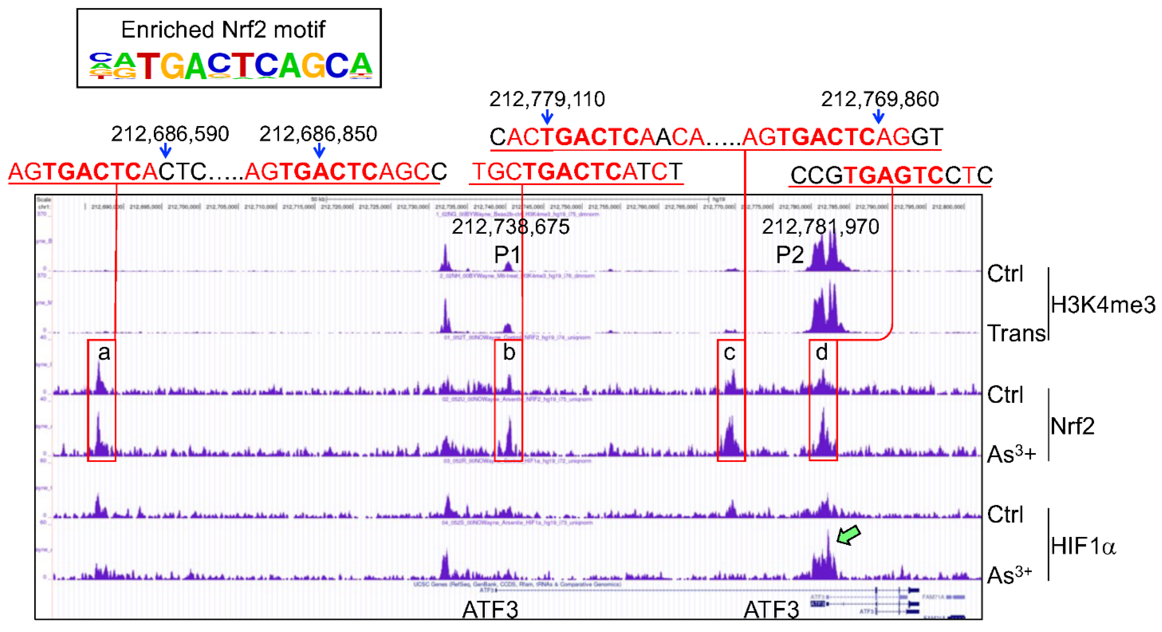 Antioxidants 11 00077 g004 550