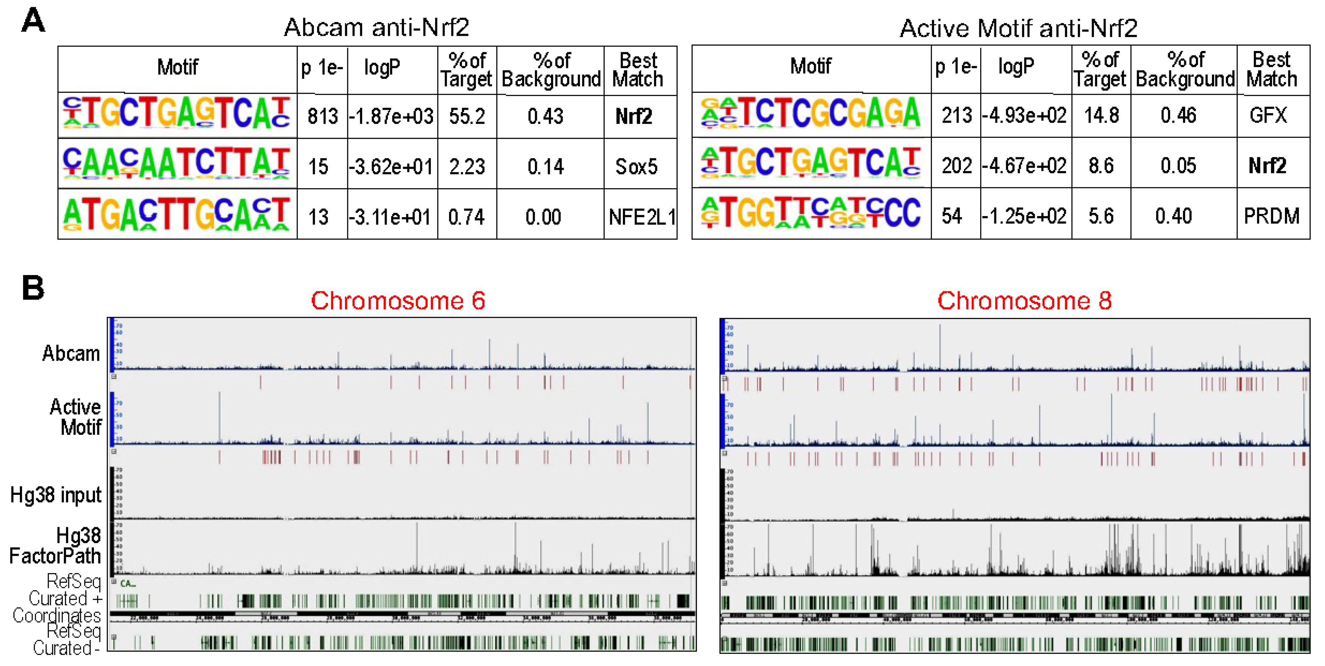Antioxidants 11 00077 g009 550