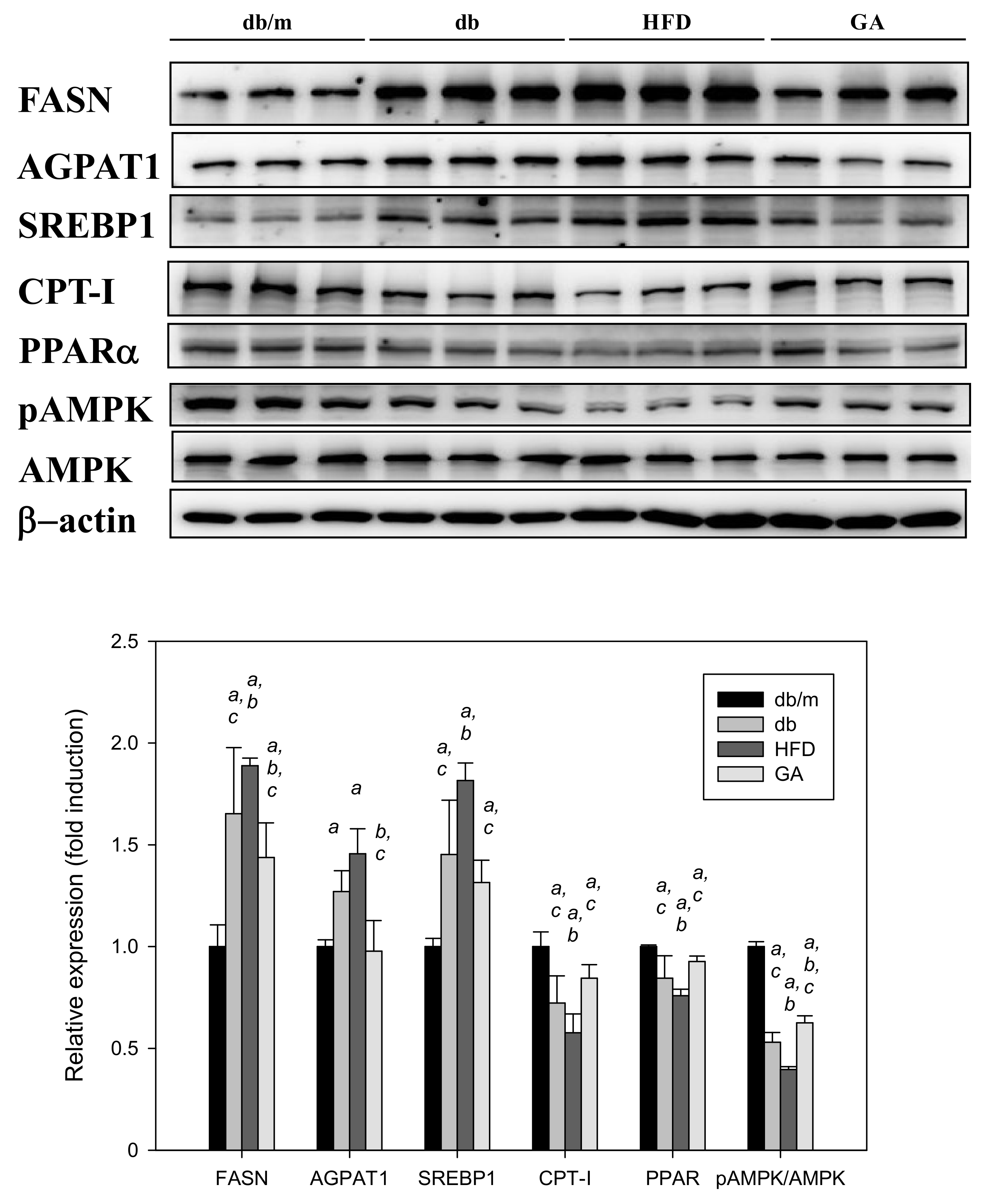 Antioxidants 11 00092 g004