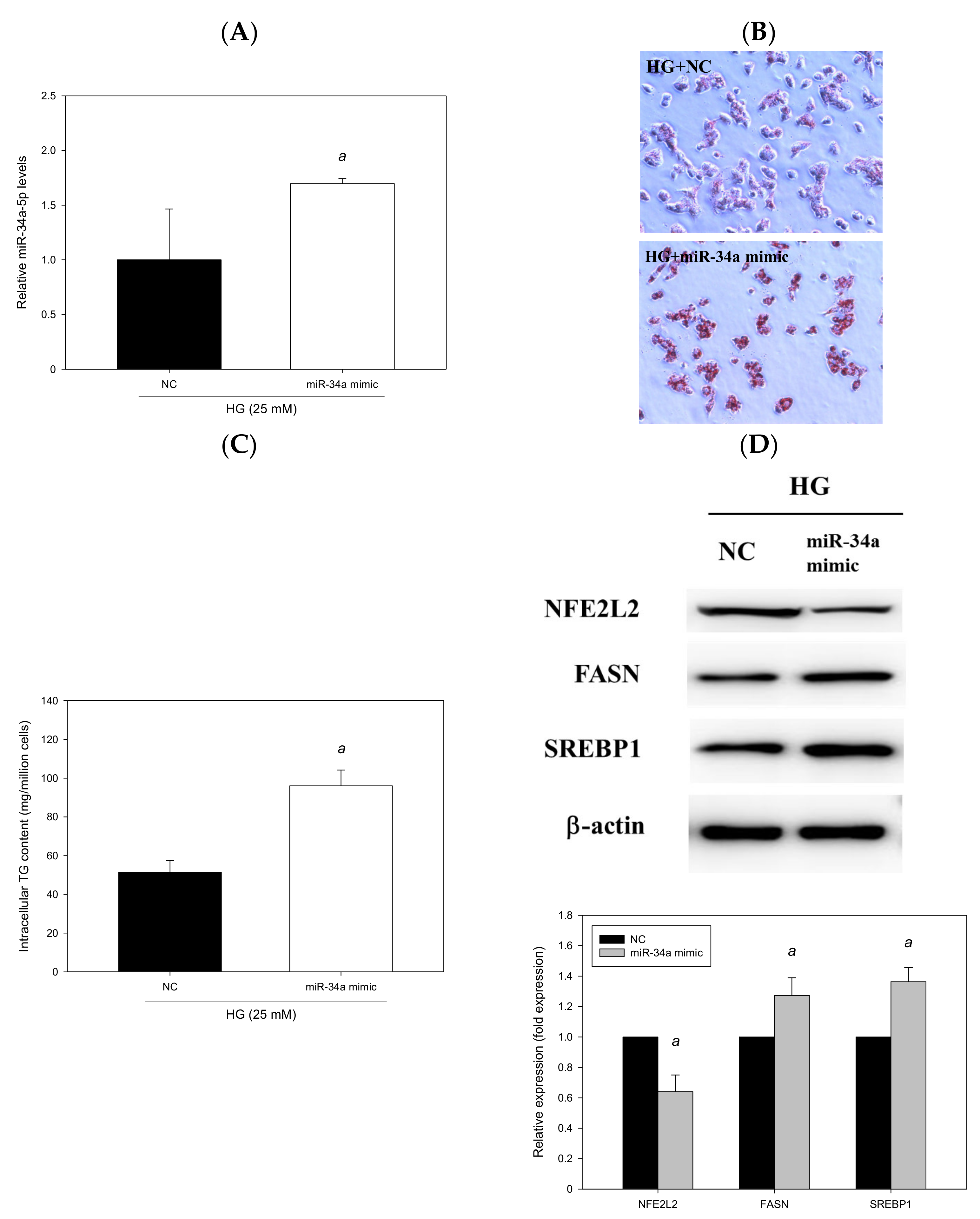 Antioxidants 11 00092 g010