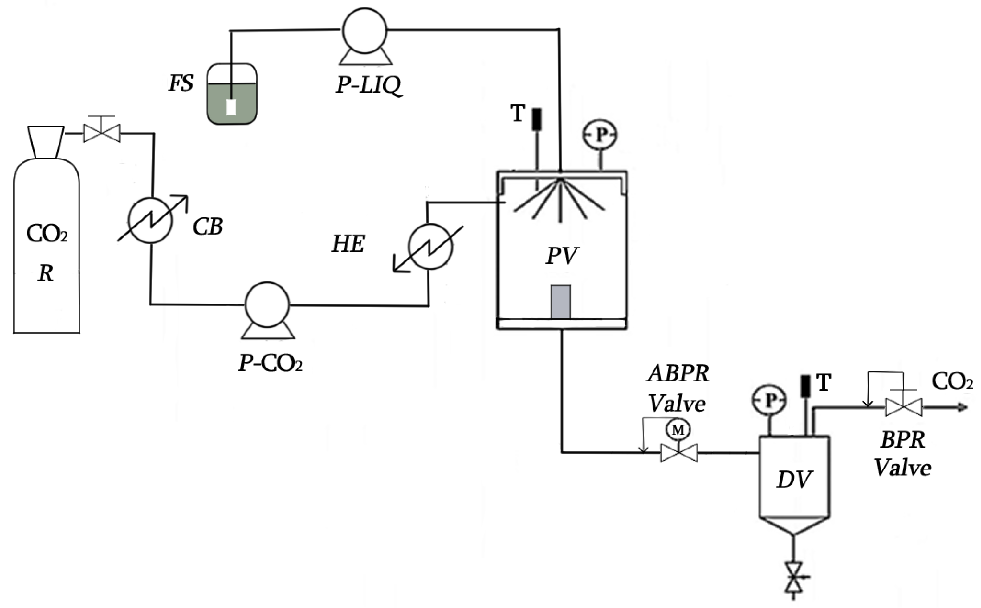 Antioxidants 11 00096 g001 Antioxidants 11 00096 g001
