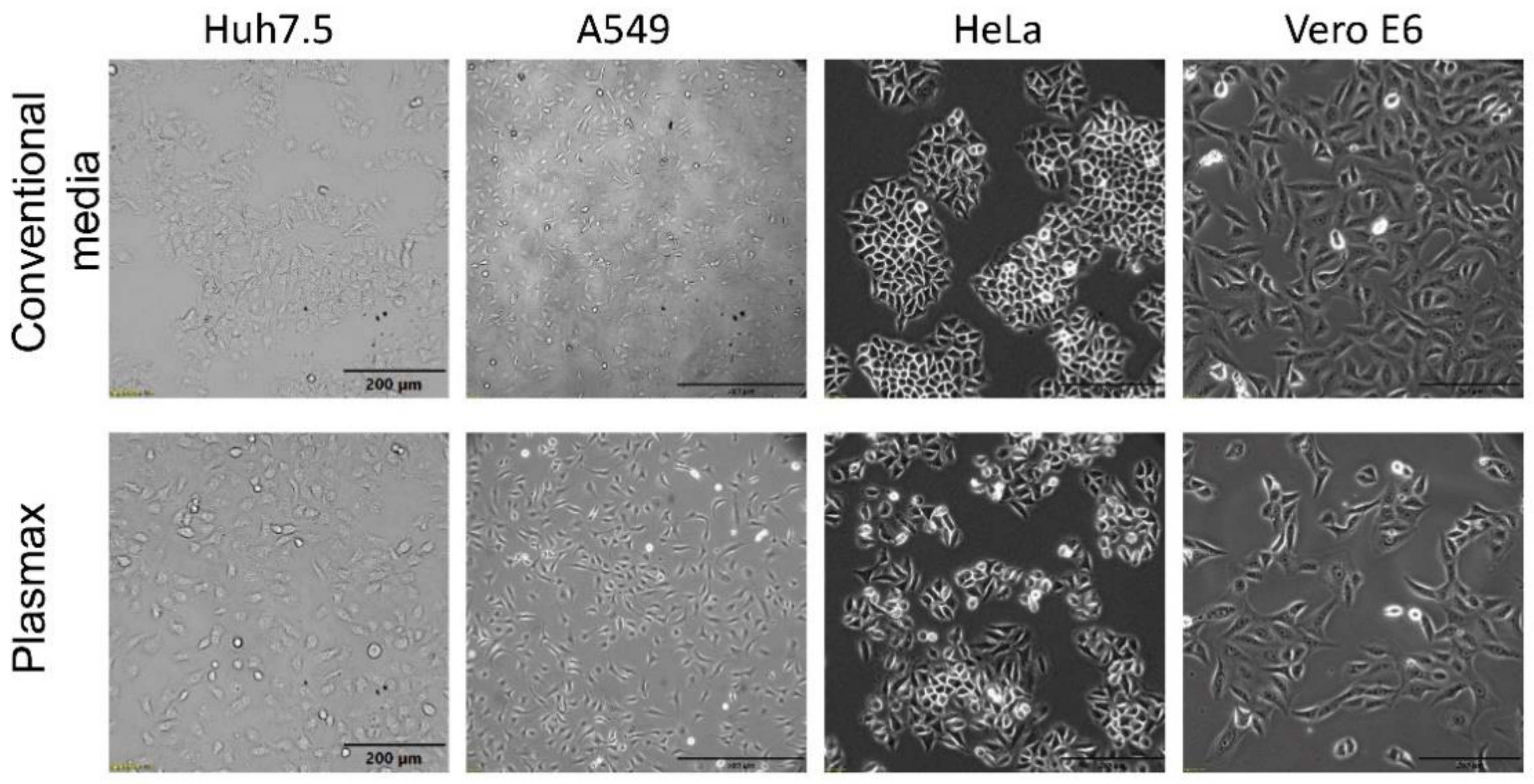 Antioxidants 11 00097 g001 550