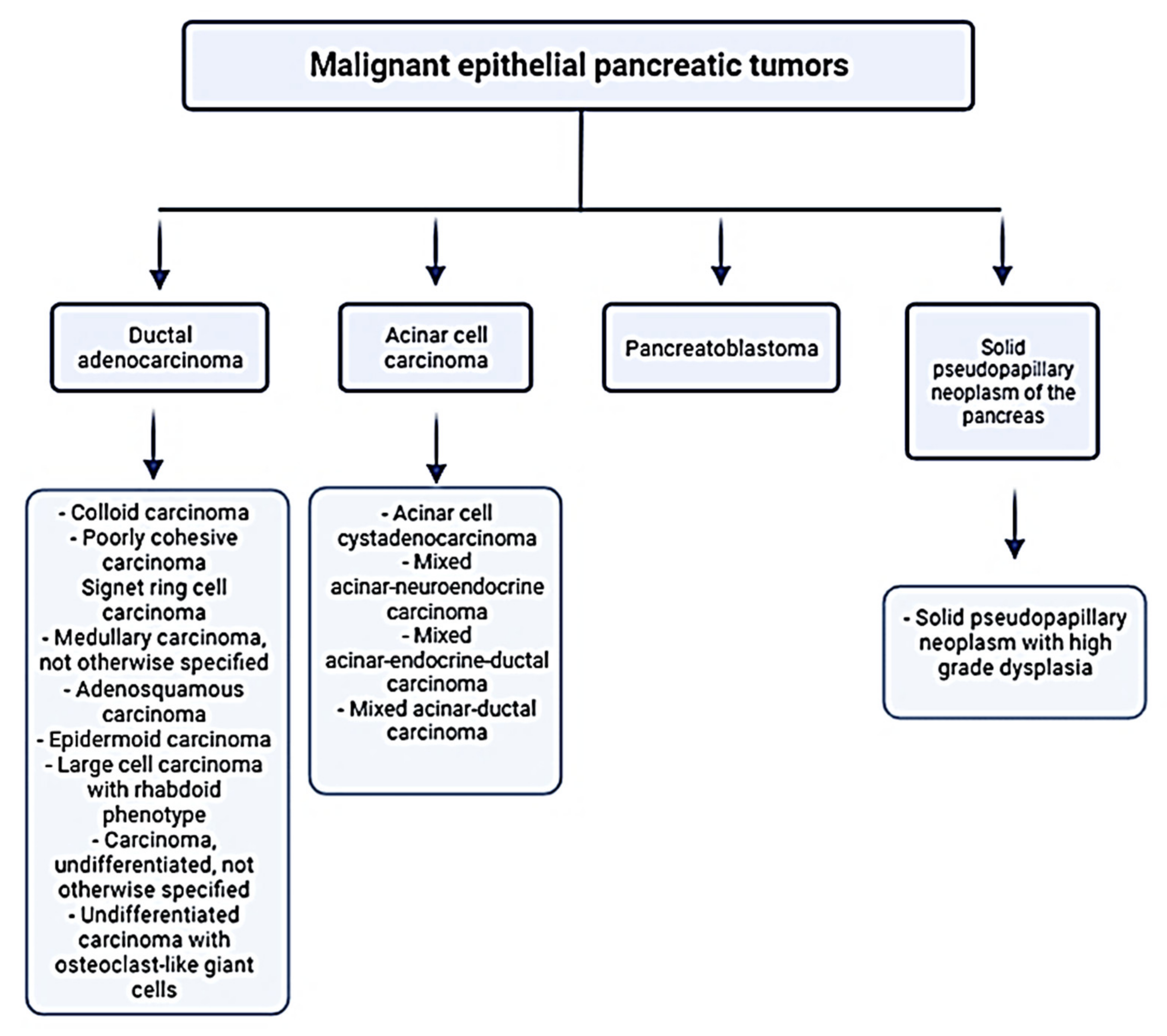 Antioxidants 11 00098 g001
