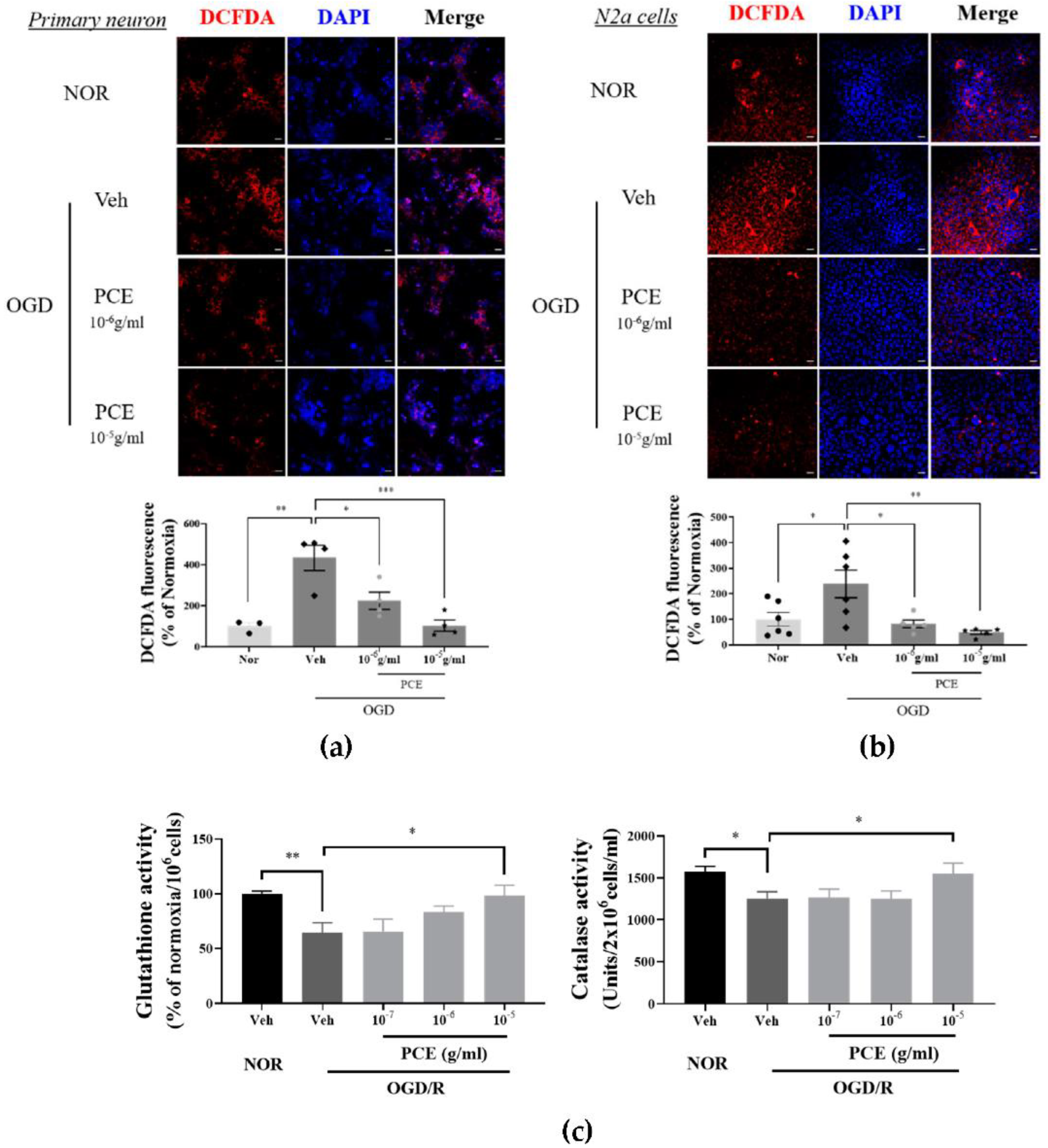 Antioxidants 11 00099 g003