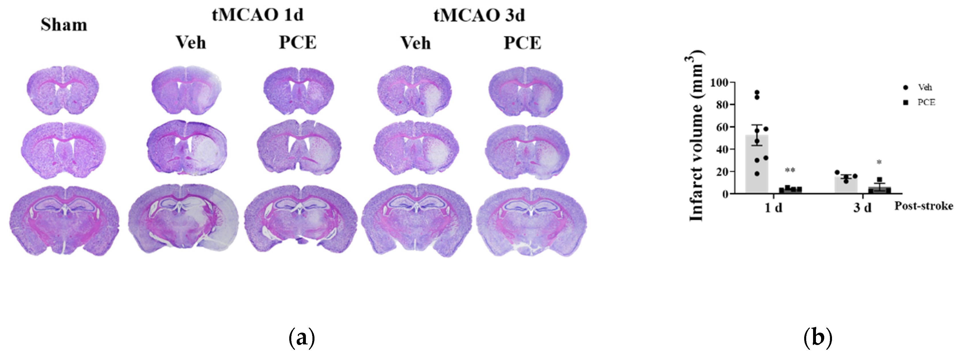 Antioxidants 11 00099 g005