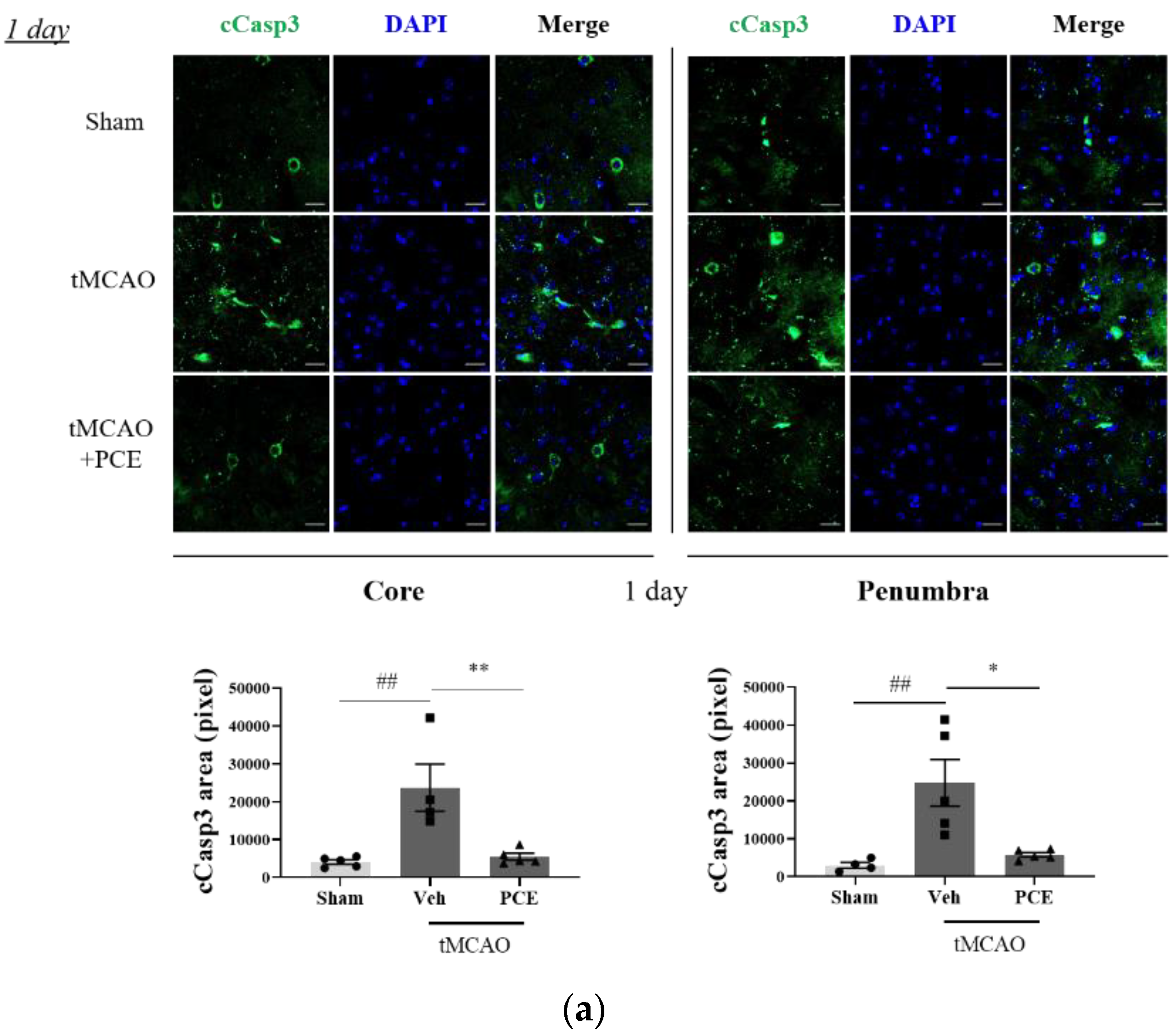 Antioxidants 11 00099 g009a