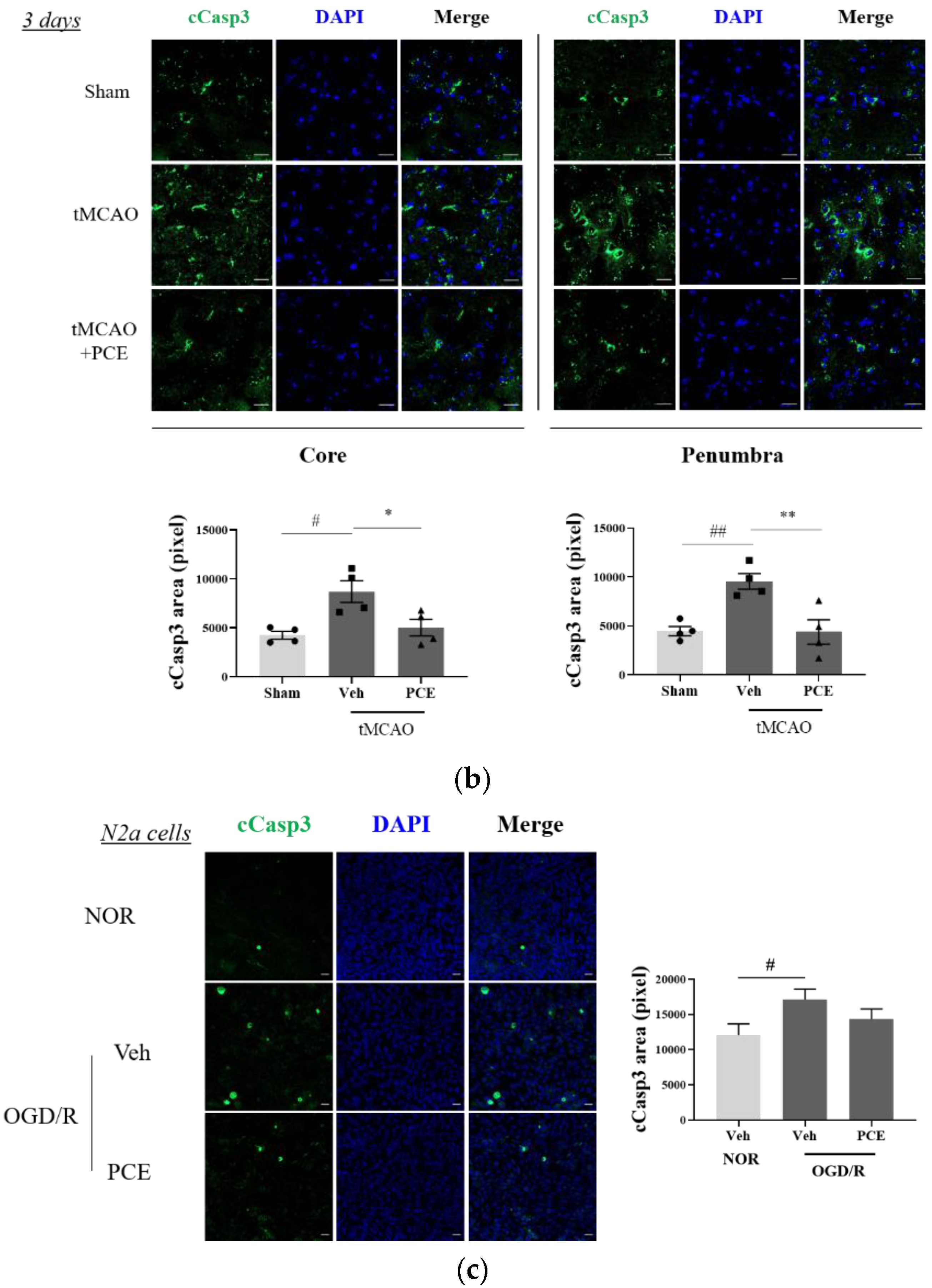 Antioxidants 11 00099 g009b