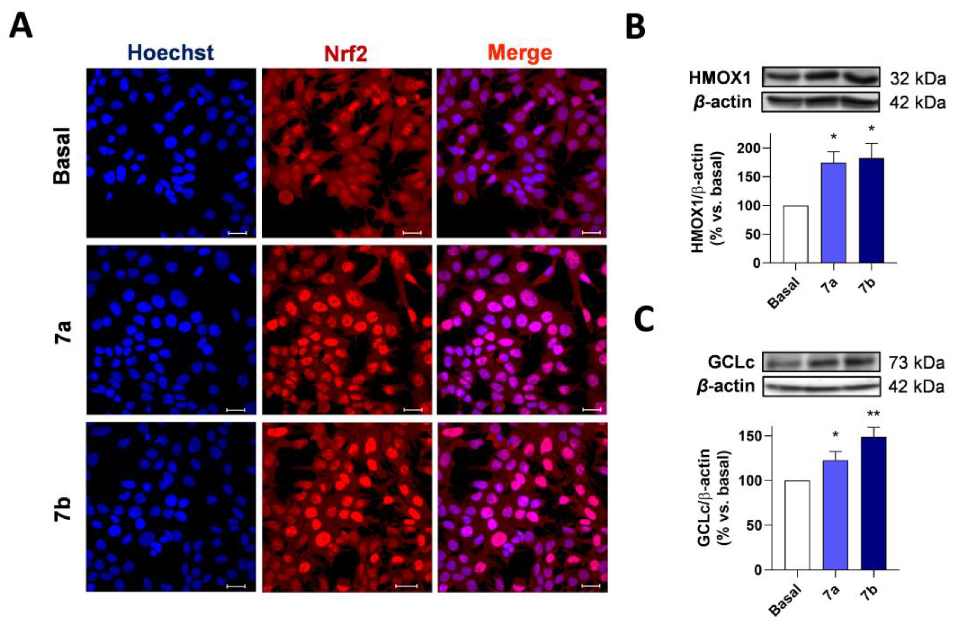 Antioxidants 11 00112 g006