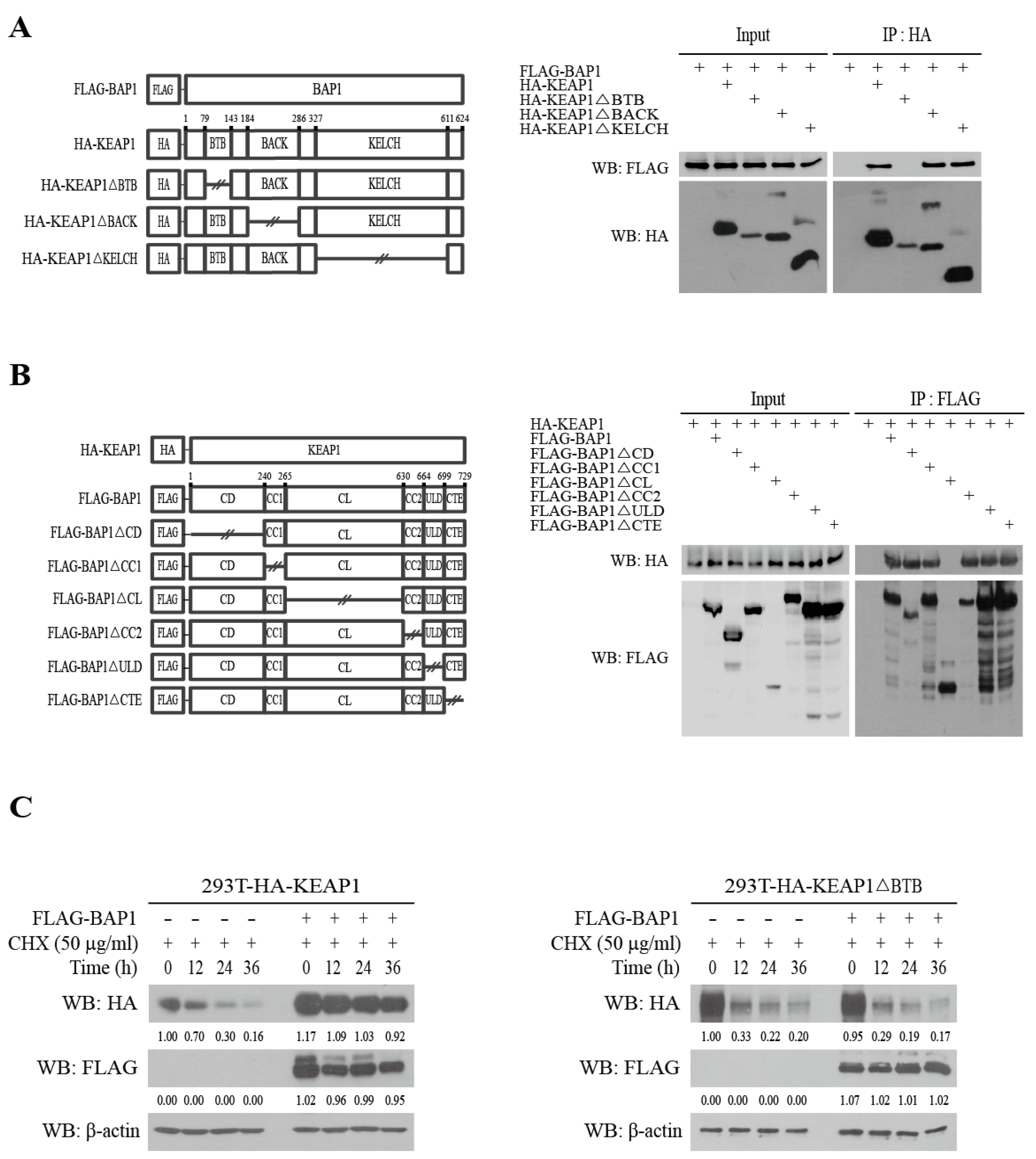 Antioxidants 11 00114 g002