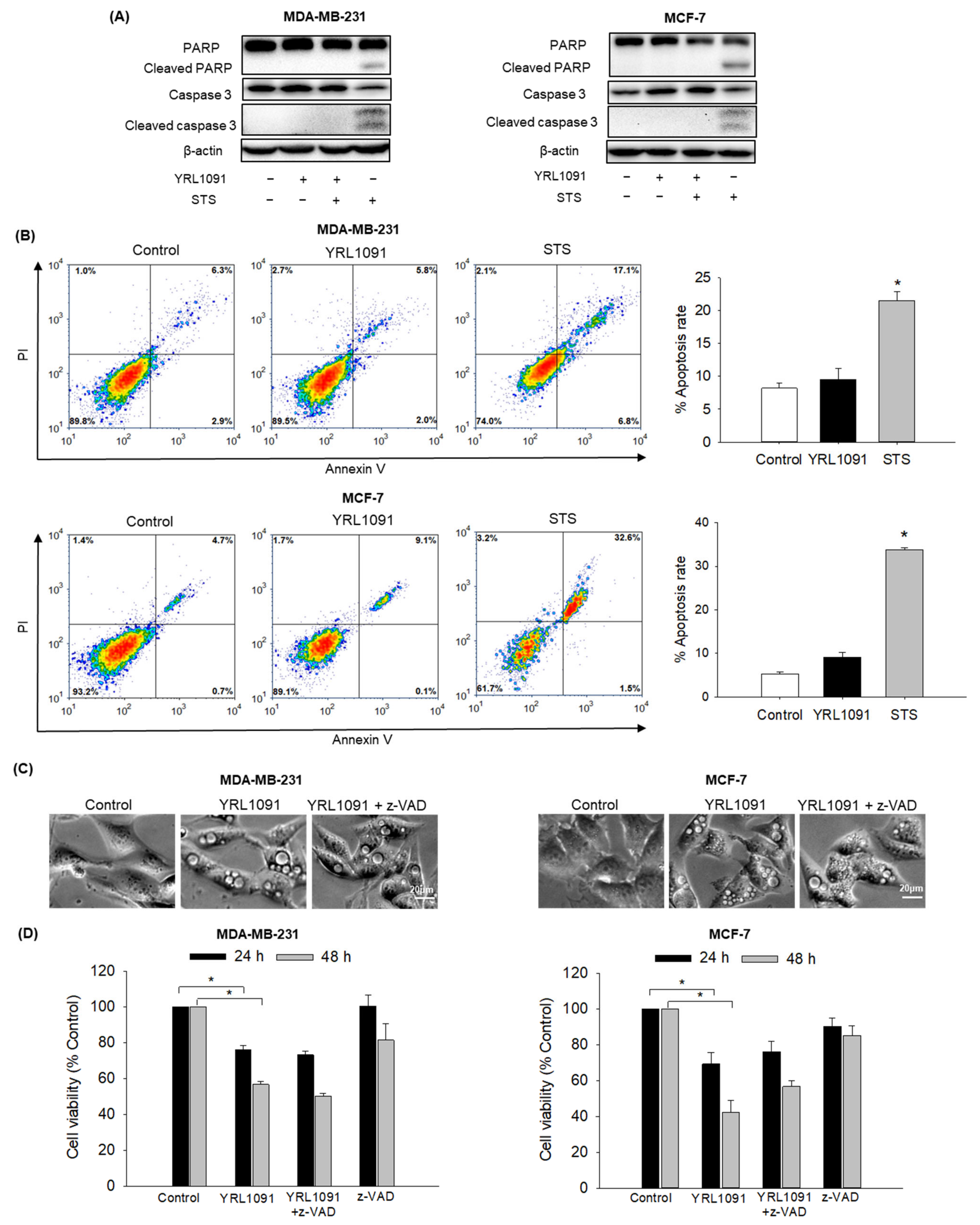 Antioxidants 11 00117 g007 550