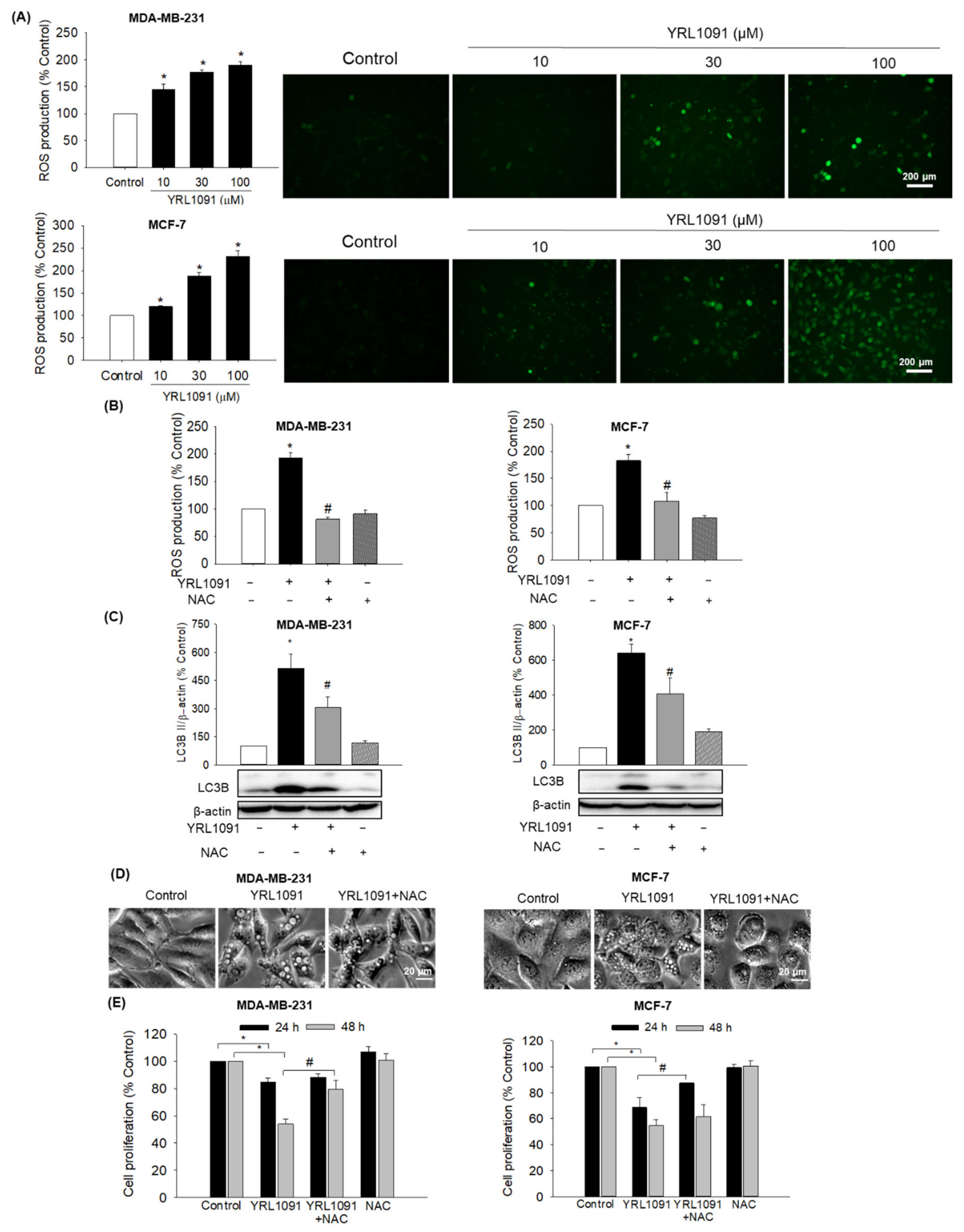 Antioxidants 11 00117 g008 550